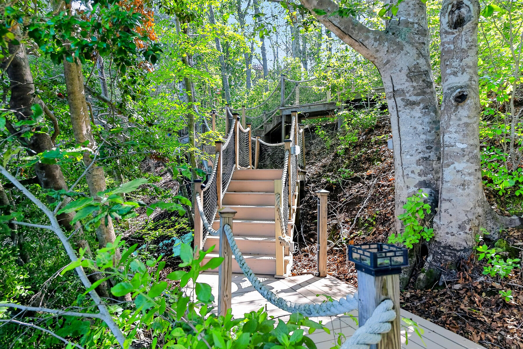  79 Pickerel Cove Circle - 物件實景