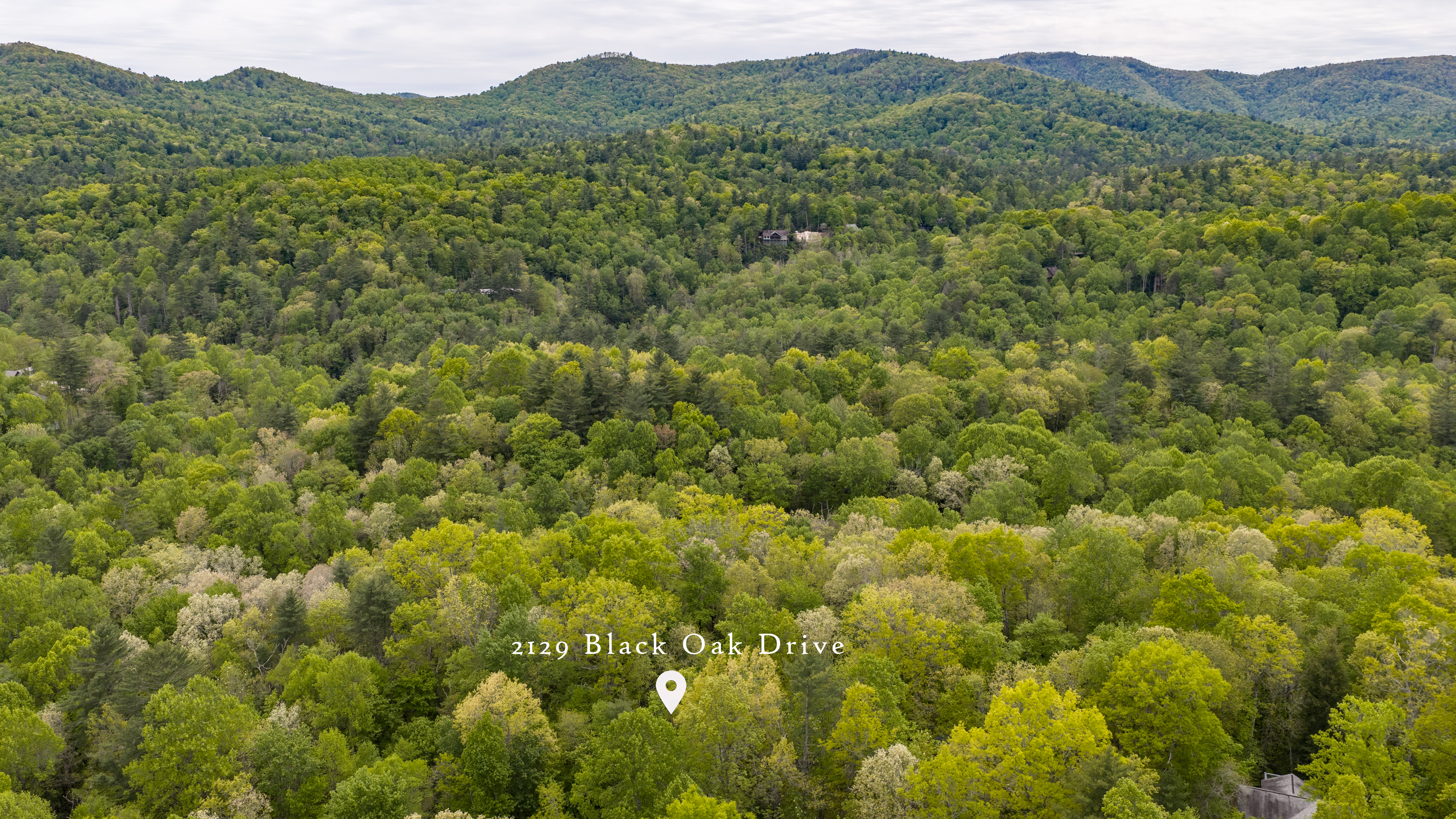  2129 Black Oak Drive - 物件實景