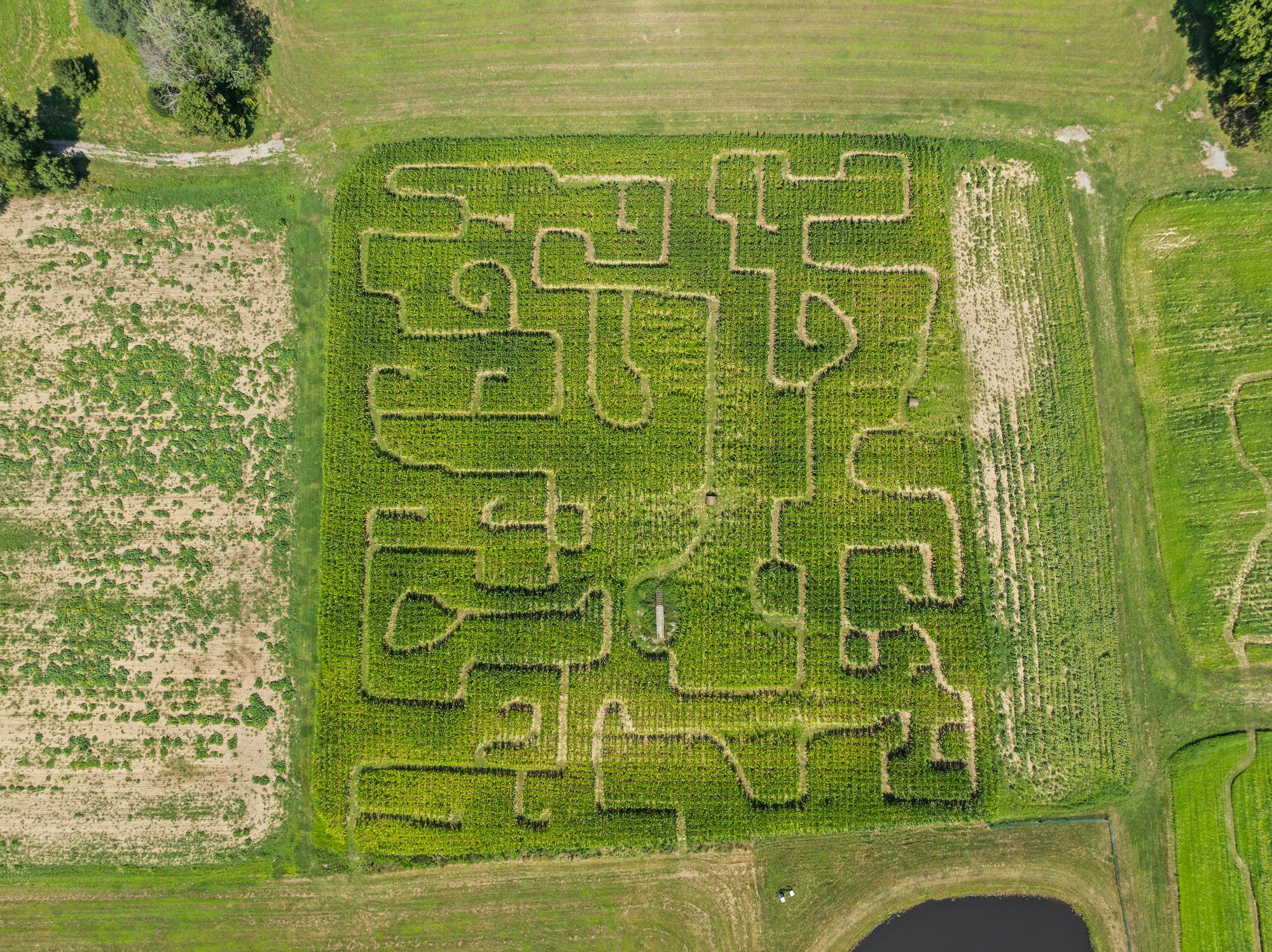  115-Acre Equestrian and Agritourism Estate in Grove City, Pennsylvania - 物件實景