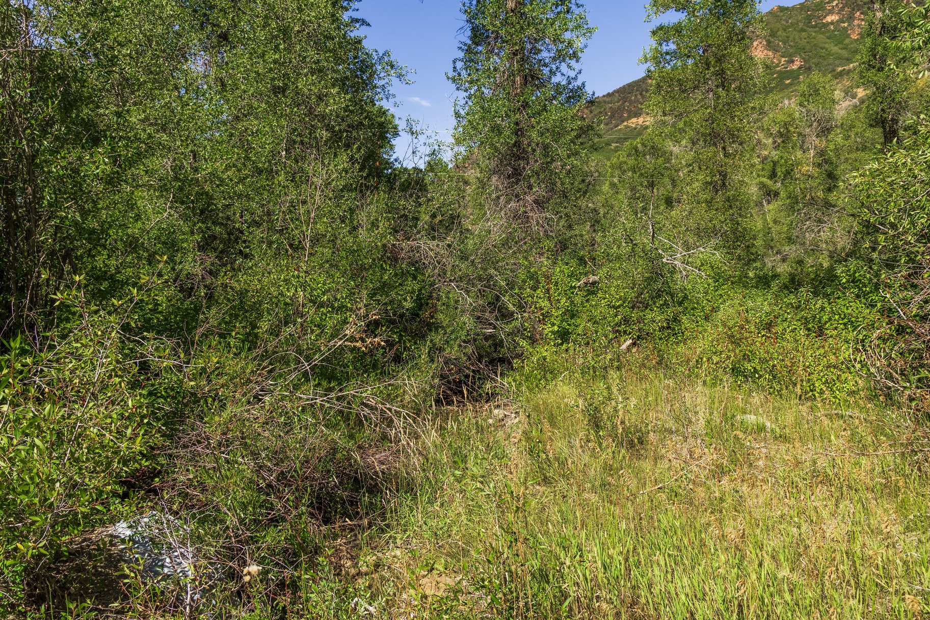  Rare Weber River Frontage Homesite - 物件實景