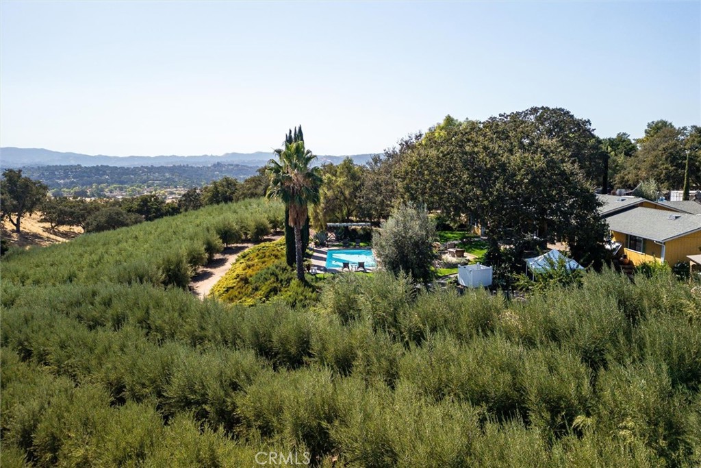 Templeton, California, 93465, United States, 3 Bedrooms Bedrooms, ,2 BathroomsBathrooms,Residential,For Sale,1981498