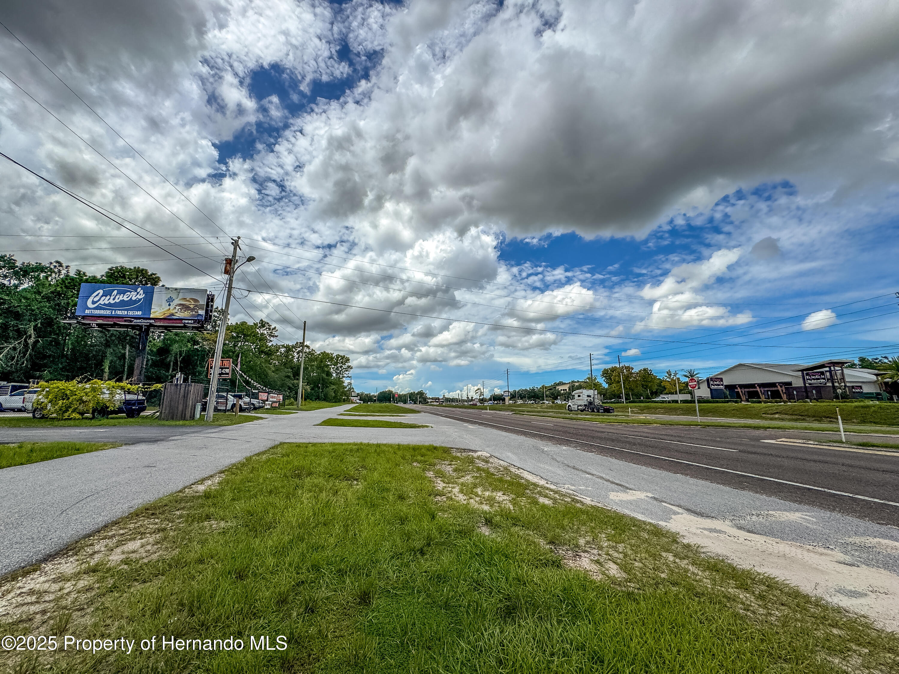 Brooksville, Florida, 34613, United States, ,Land,For Sale,1976830