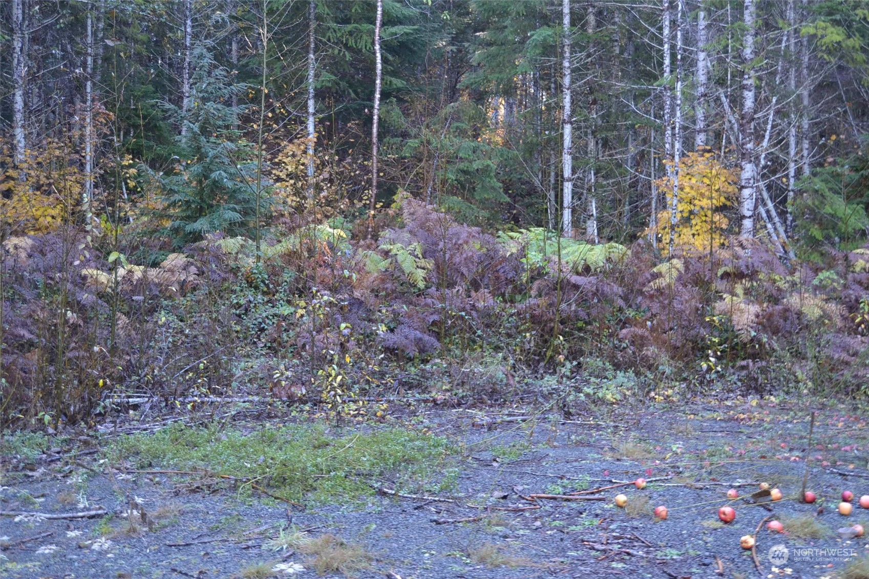 Packwood, Washington, 98937, United States, ,Residential,For Sale,1944866