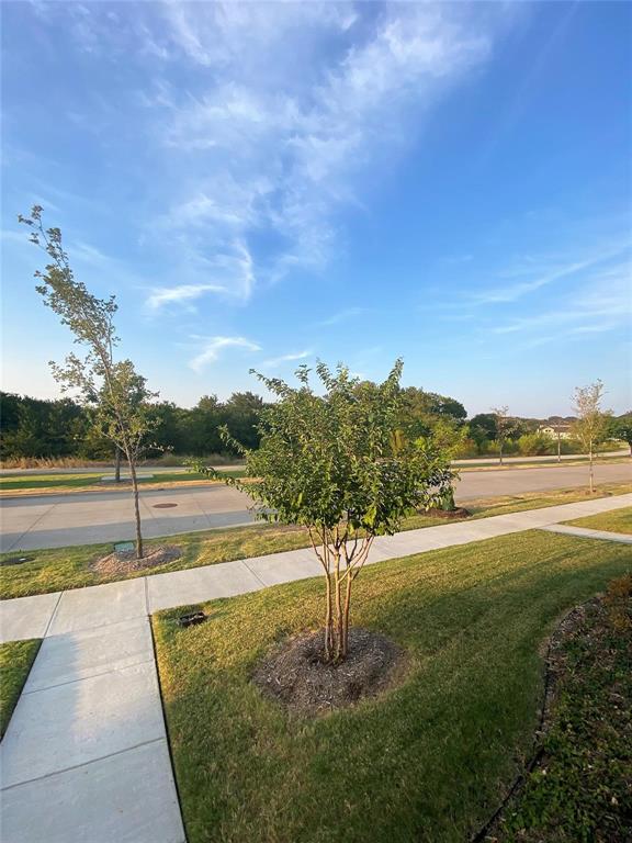 Frisco, Texas, 75033, United States, 3 Bedrooms Bedrooms, ,3 BathroomsBathrooms,Residential,For Sale,1960500