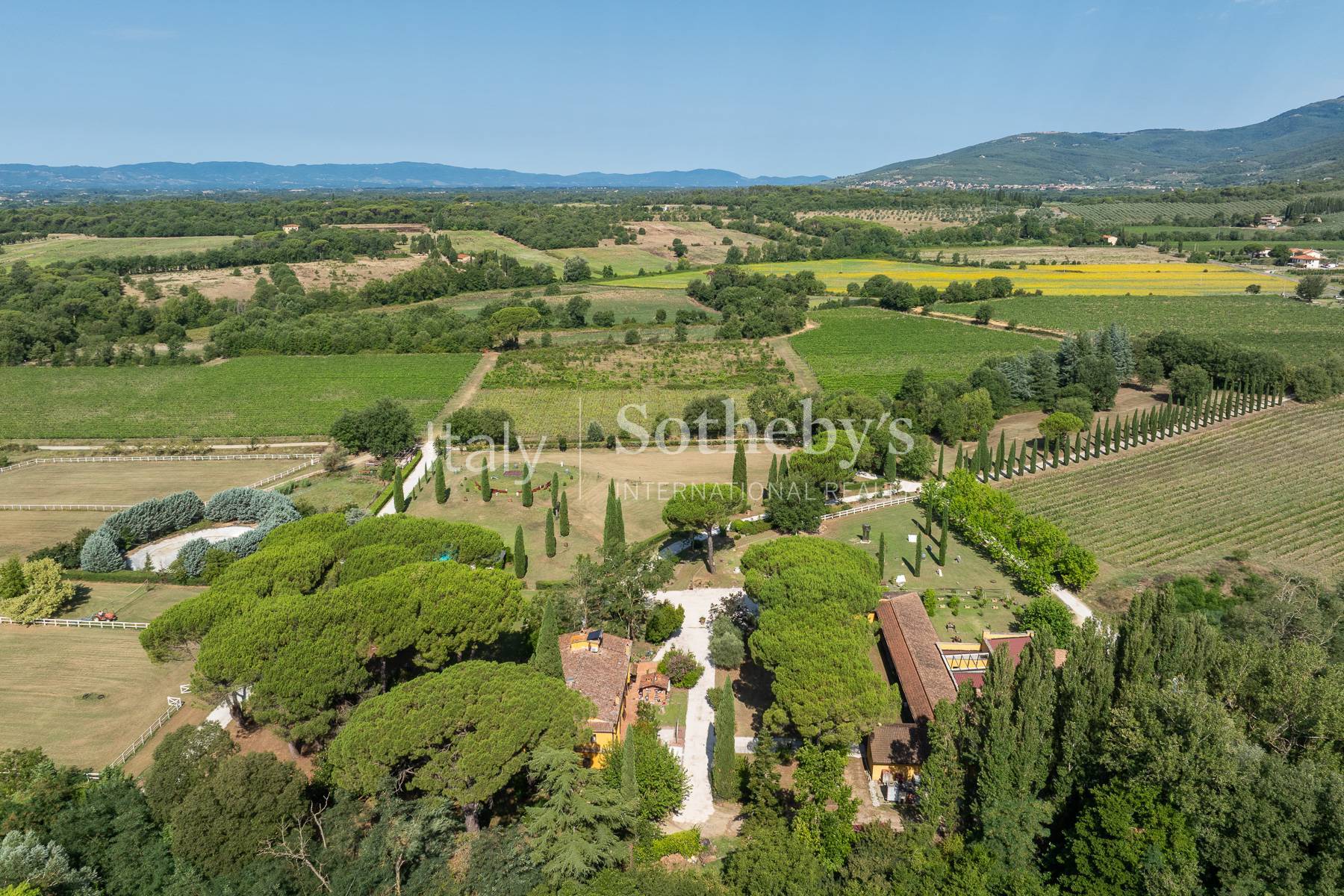  Estate with villa, swimming pool and organic vineyards - 物件實景