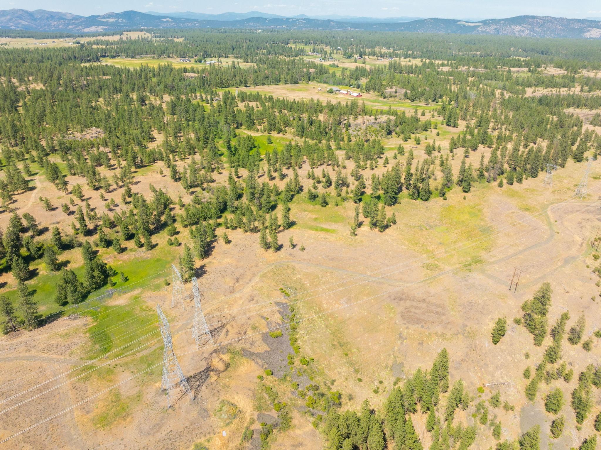 Nine Mile Falls, Washington, 99026, United States, ,Land,For Sale,1960887