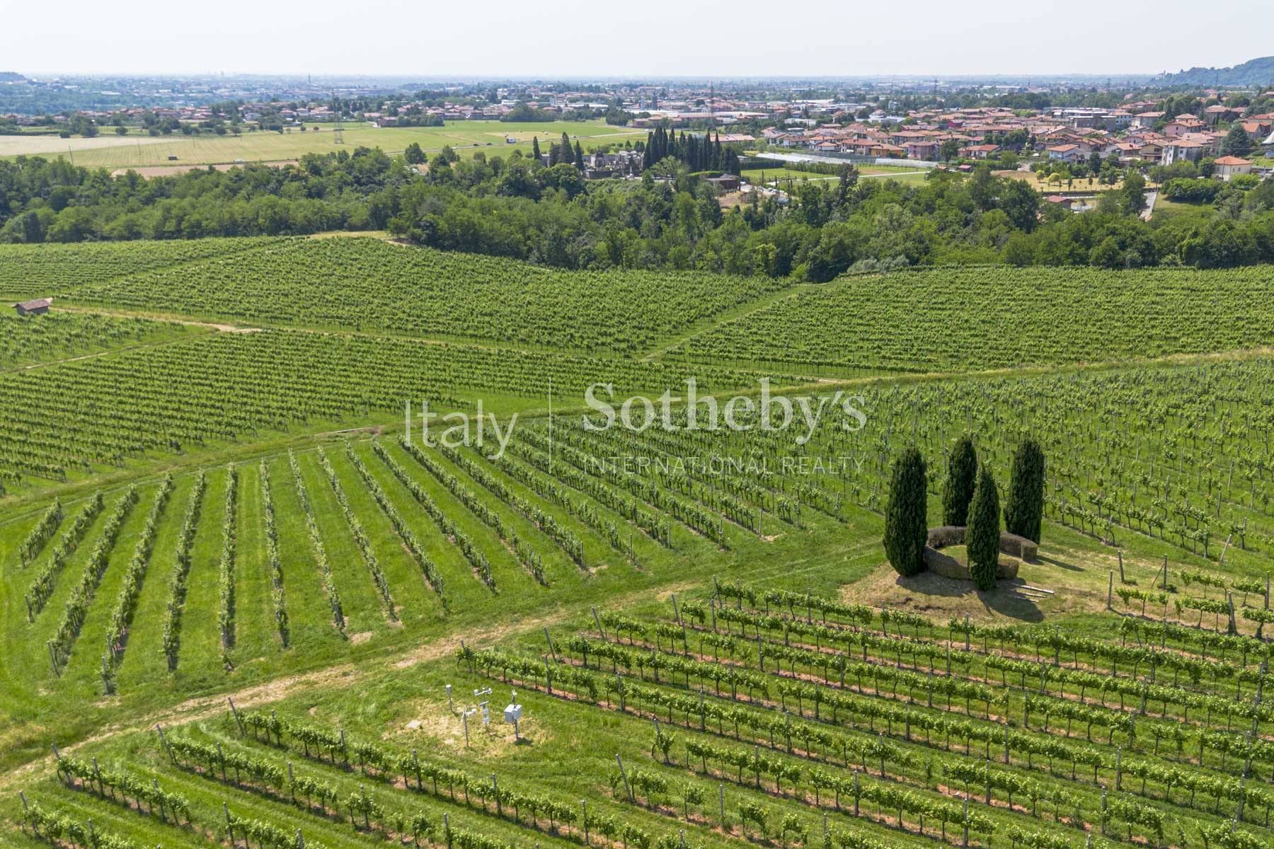  Historic agricultural estate with vineyards and heritage complex - 物件實景