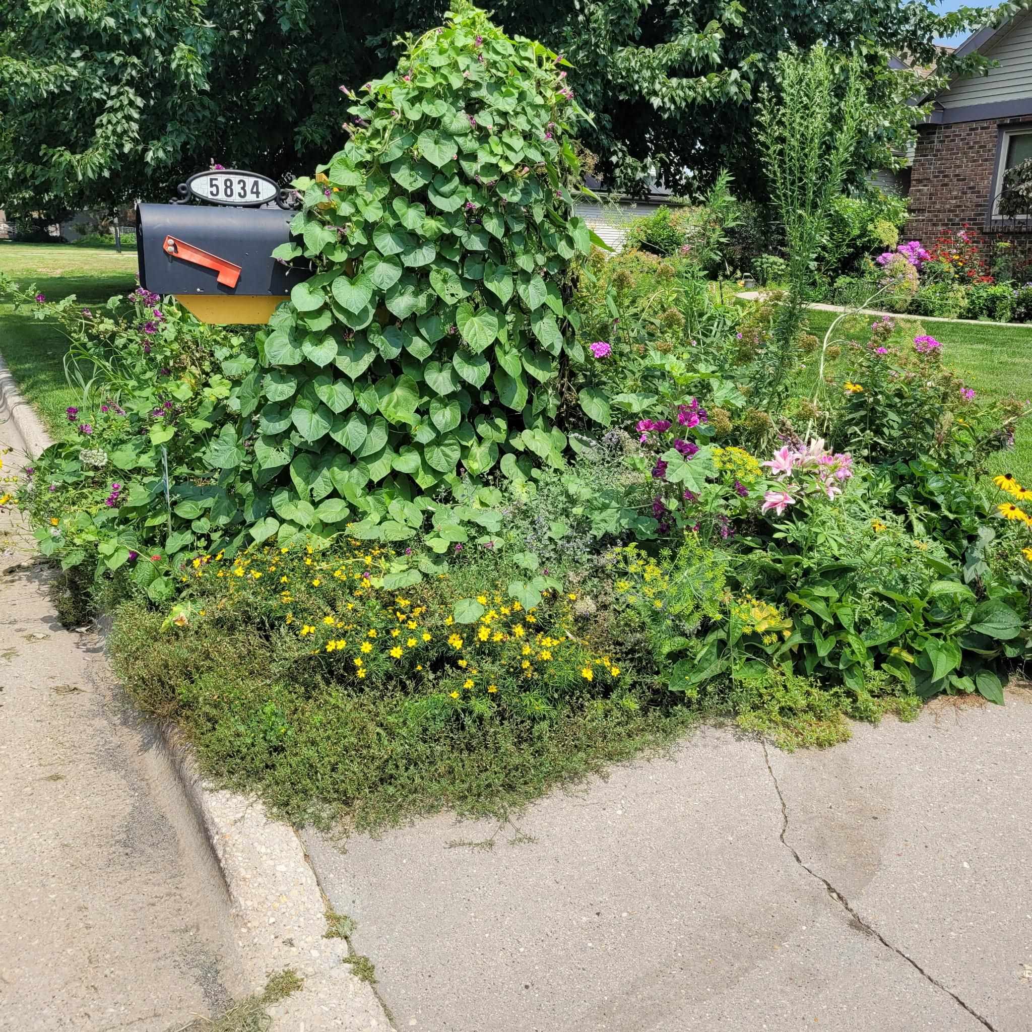 Fitchburg, Wisconsin, 53711, United States, 4 Bedrooms Bedrooms, ,4 BathroomsBathrooms,Residential,For Sale,1977409