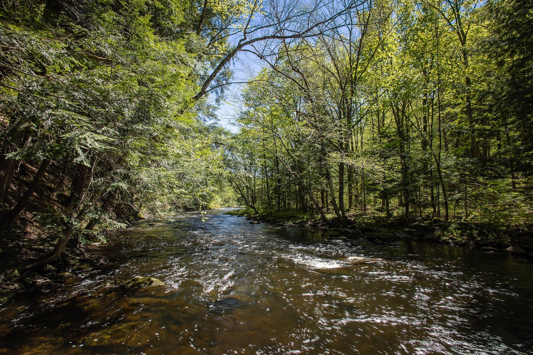 Bolton-Est, Eastern Townships - 物件實景