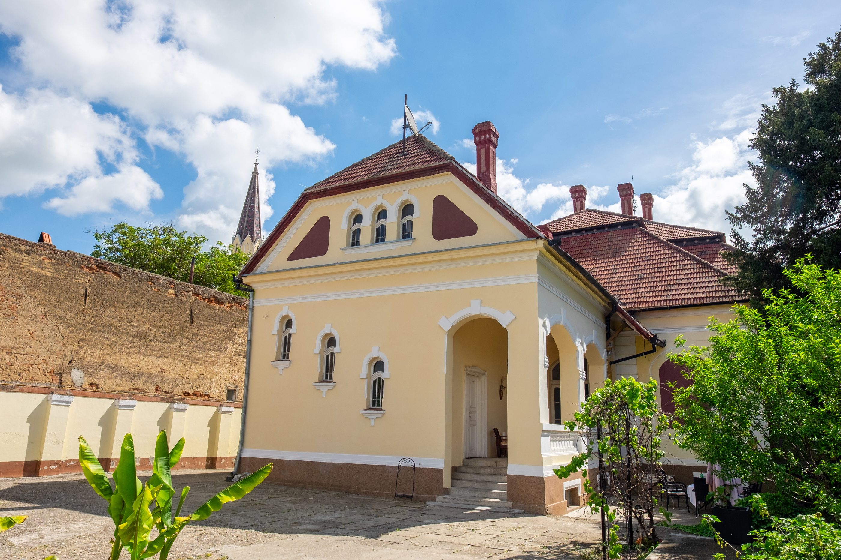  Ferch Manor - History and Tradition near Timioara - 物件實景