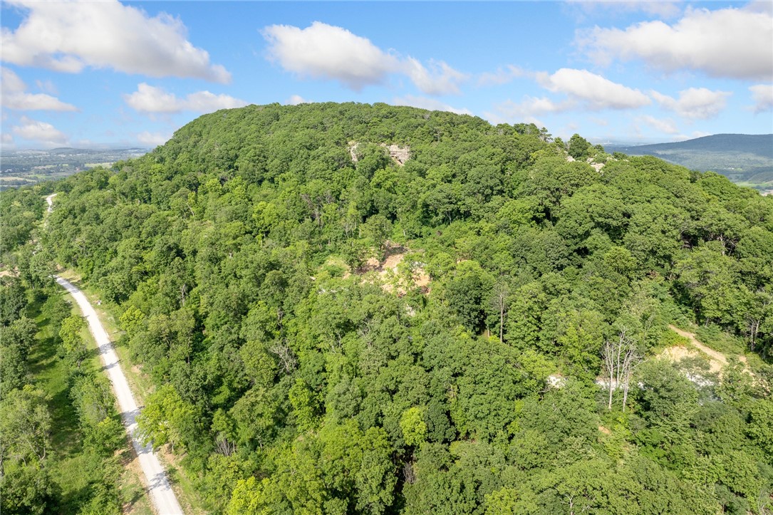 Harrison, Arkansas, 72601, United States, ,Land,For Sale,1903460