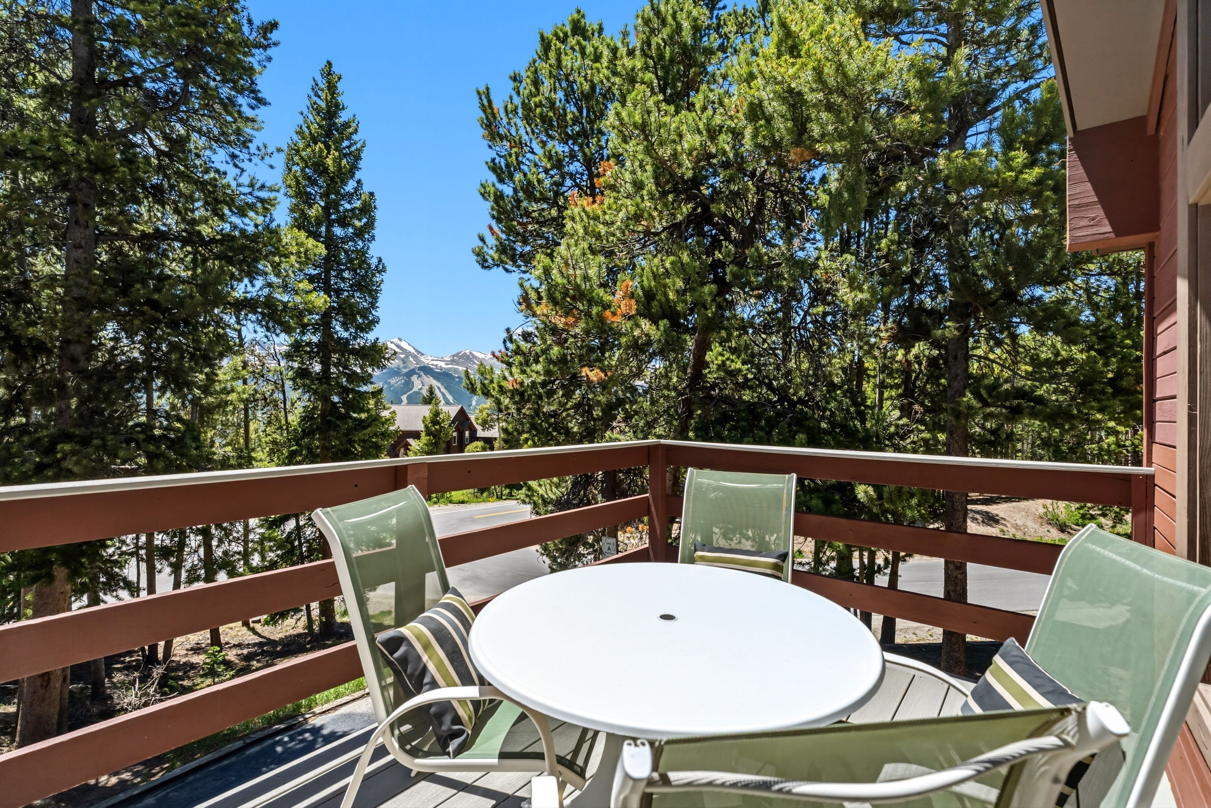  1233 Baldy Road, Breckenridge, CO 80424 - 物件實景