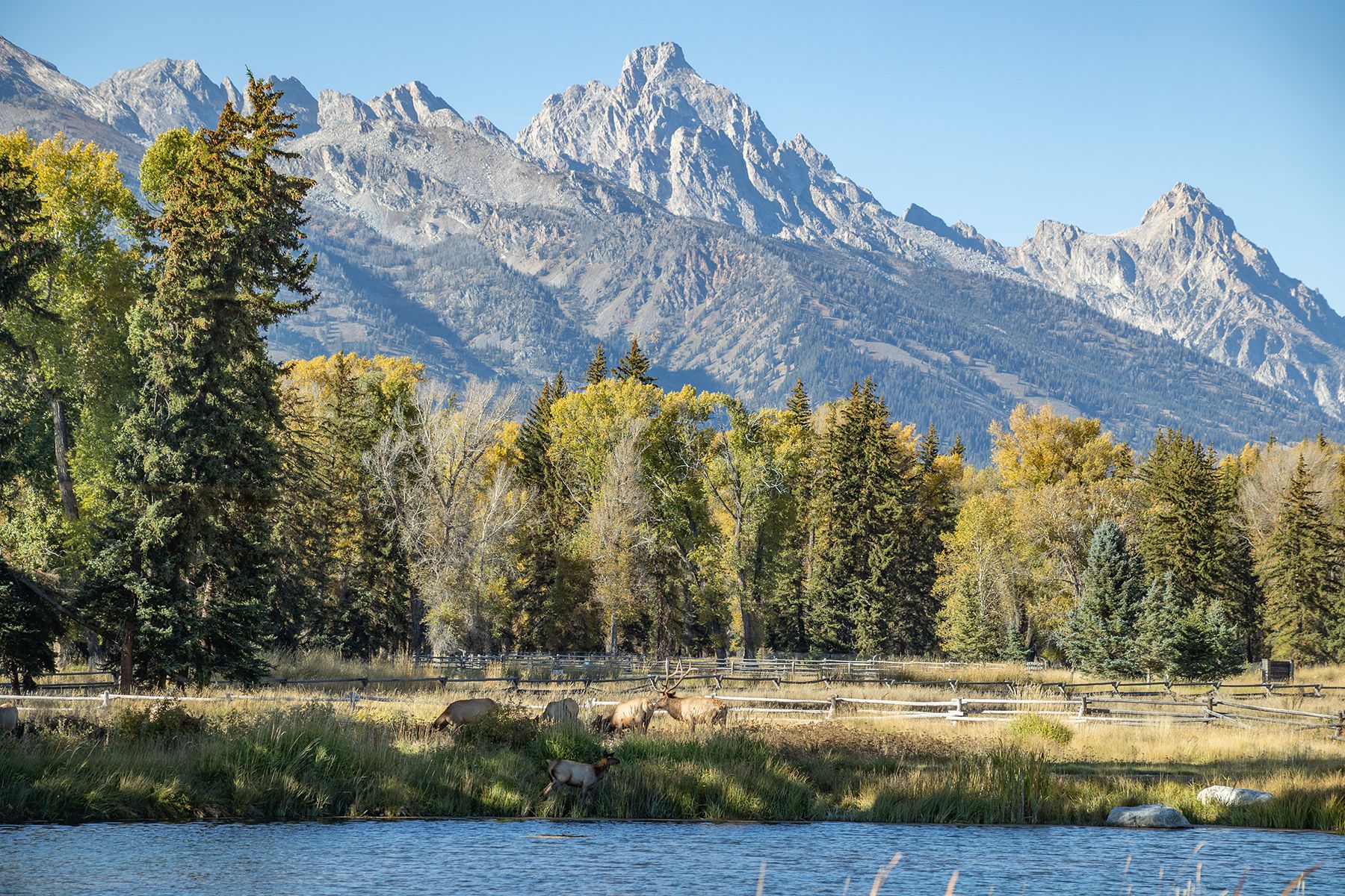  Wapiti Retreat - 物件實景