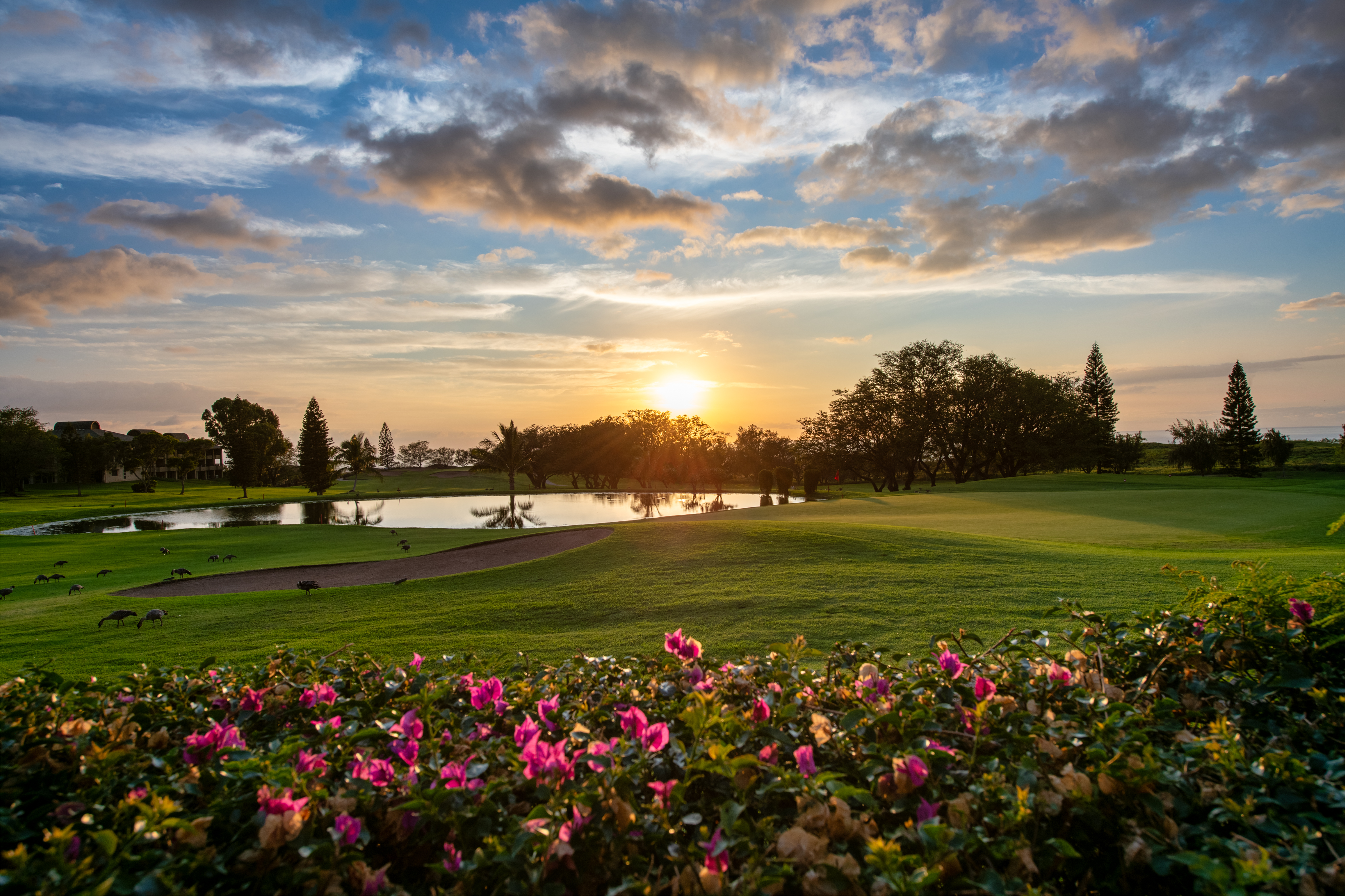  68-1754 Melia Street, Waikoloa Village, HI 96738 - 物件實景