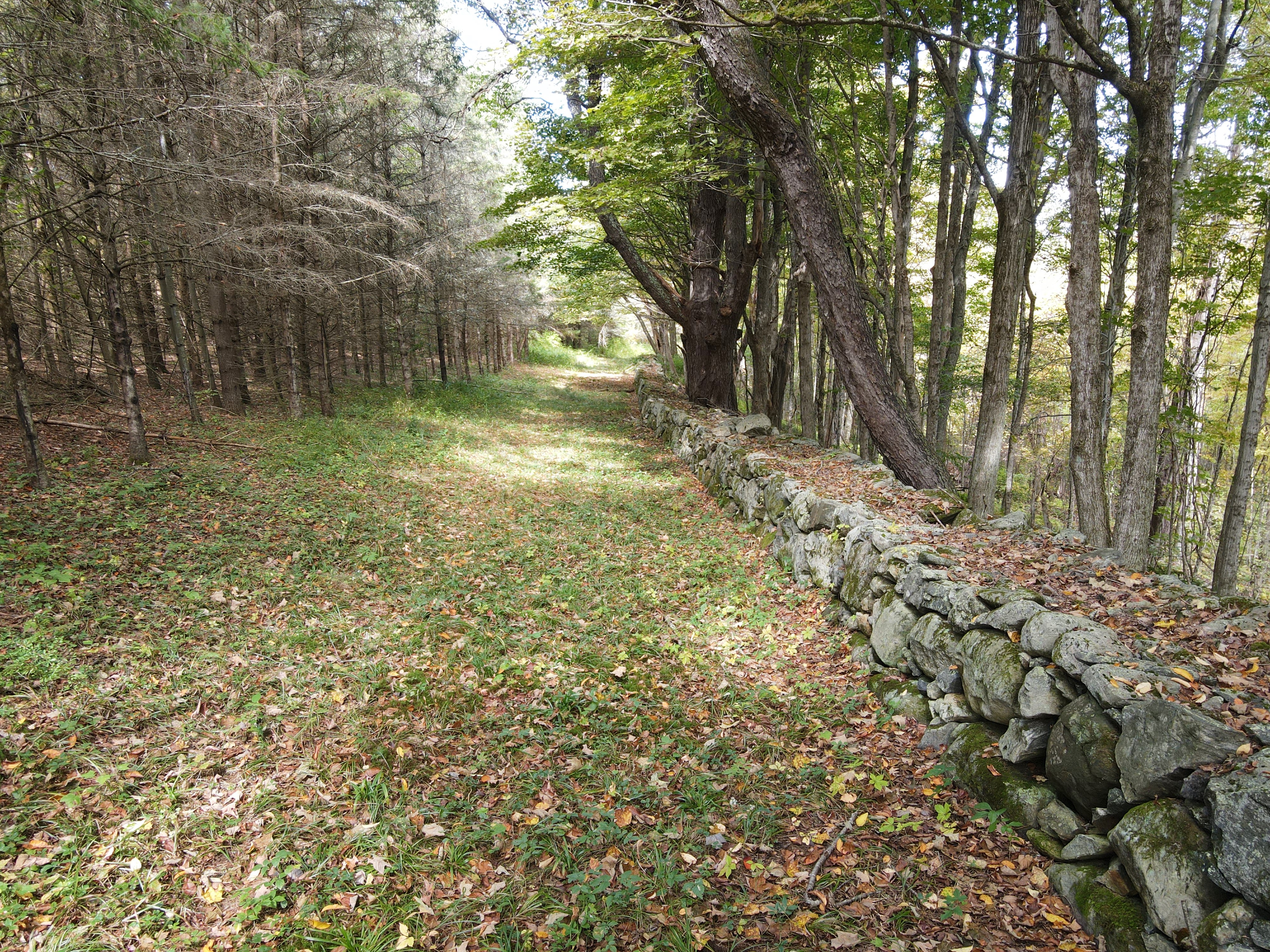  77 Deer Hill Road - 物件實景
