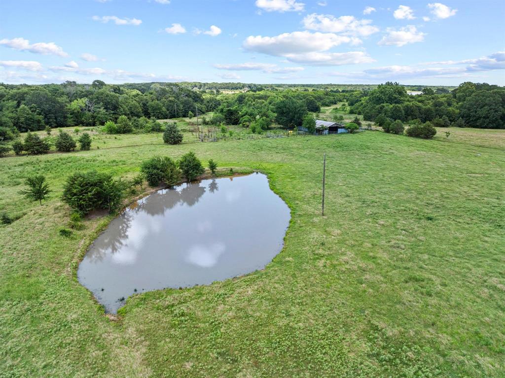 Ivanhoe, Texas, 75447, United States, 4 Bedrooms Bedrooms, ,4 BathroomsBathrooms,Residential,For Sale,1879040