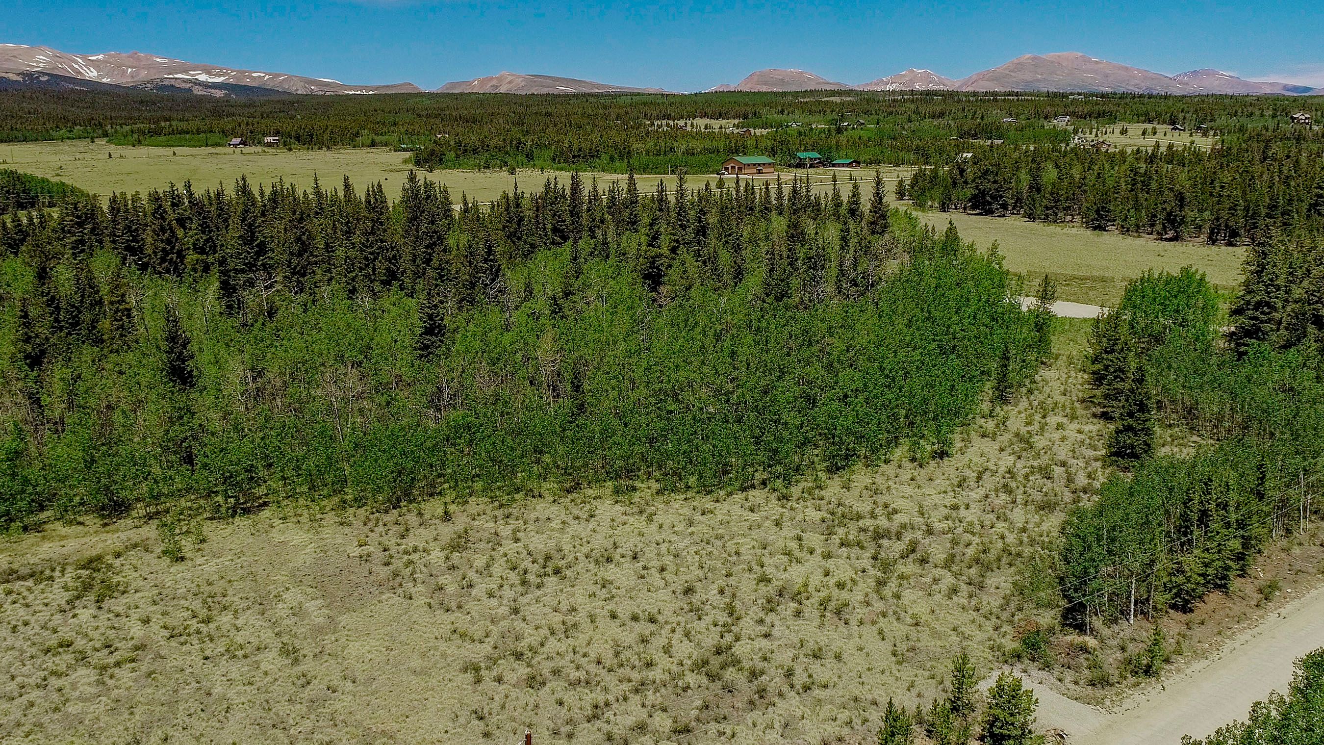  515 Wild Rye Road, Fairplay, CO, 80440 - 物件實景