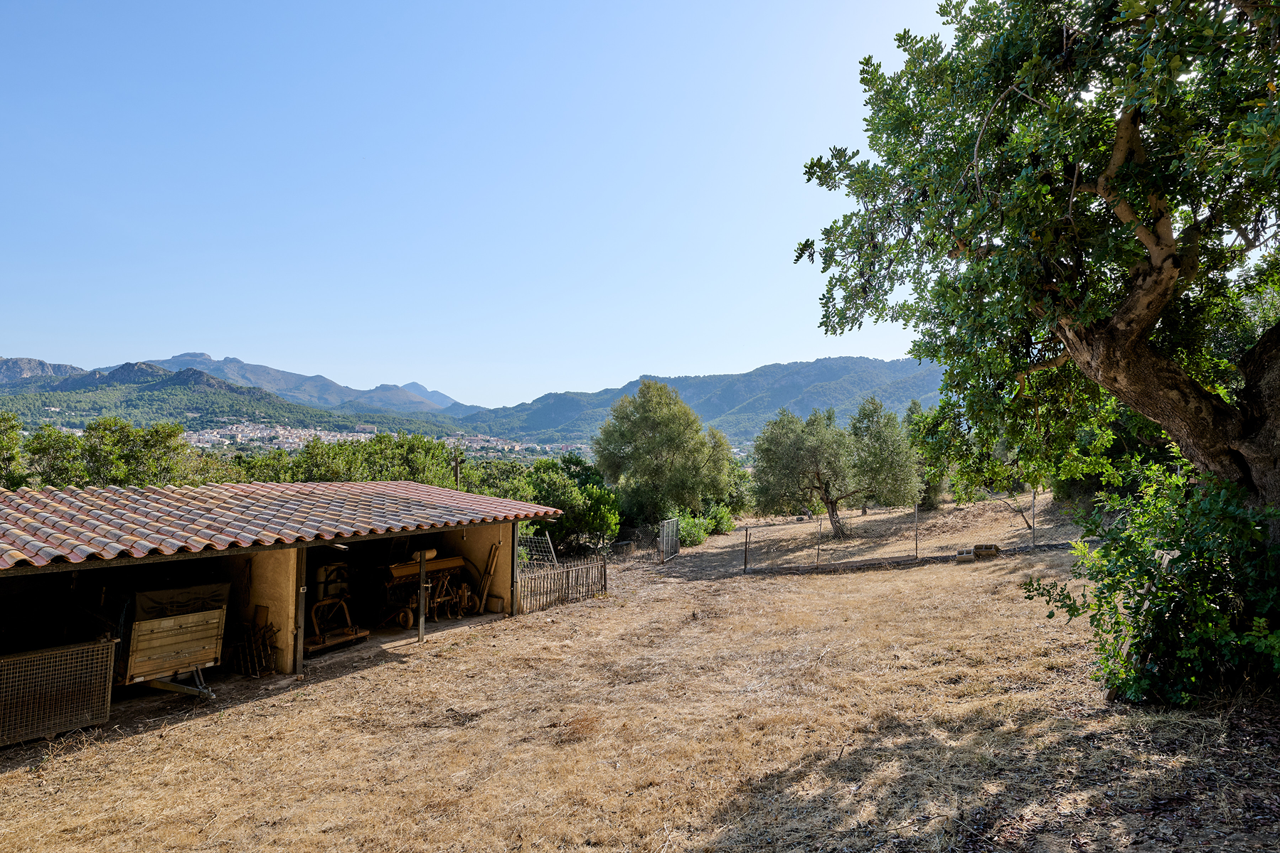  Country Estate with Equestrian Facilities in Port Andratx - 物件實景