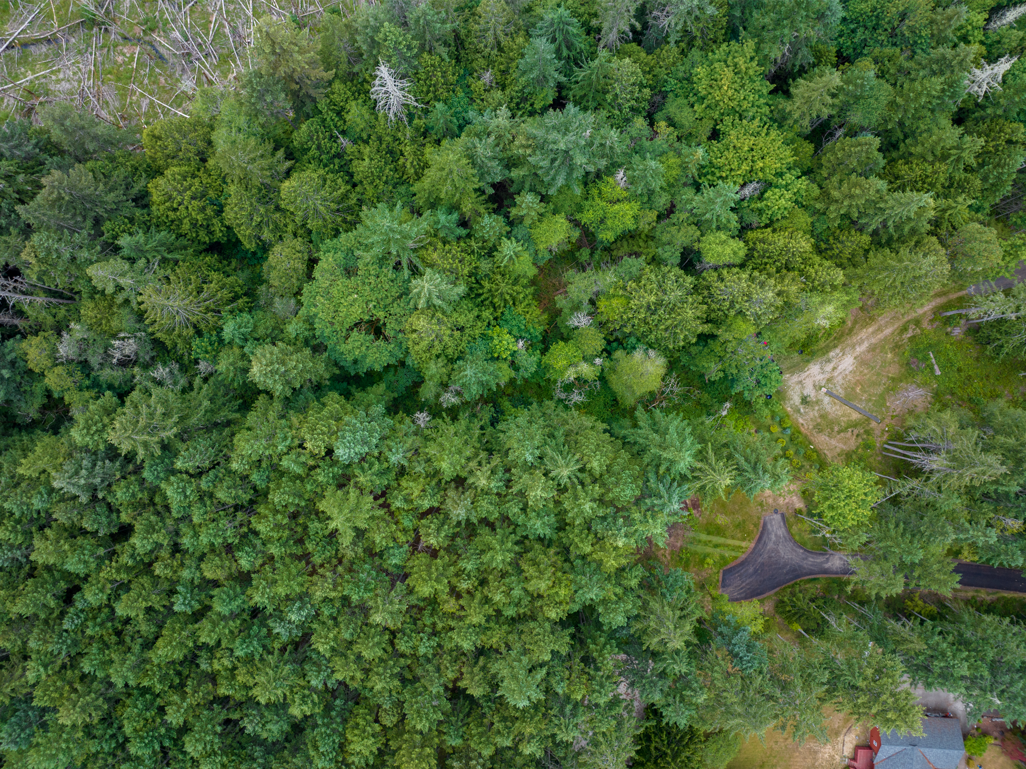  Lot B Bucsit Lane Northeast, Bainbridge Island, WA 98110 - 物件實景