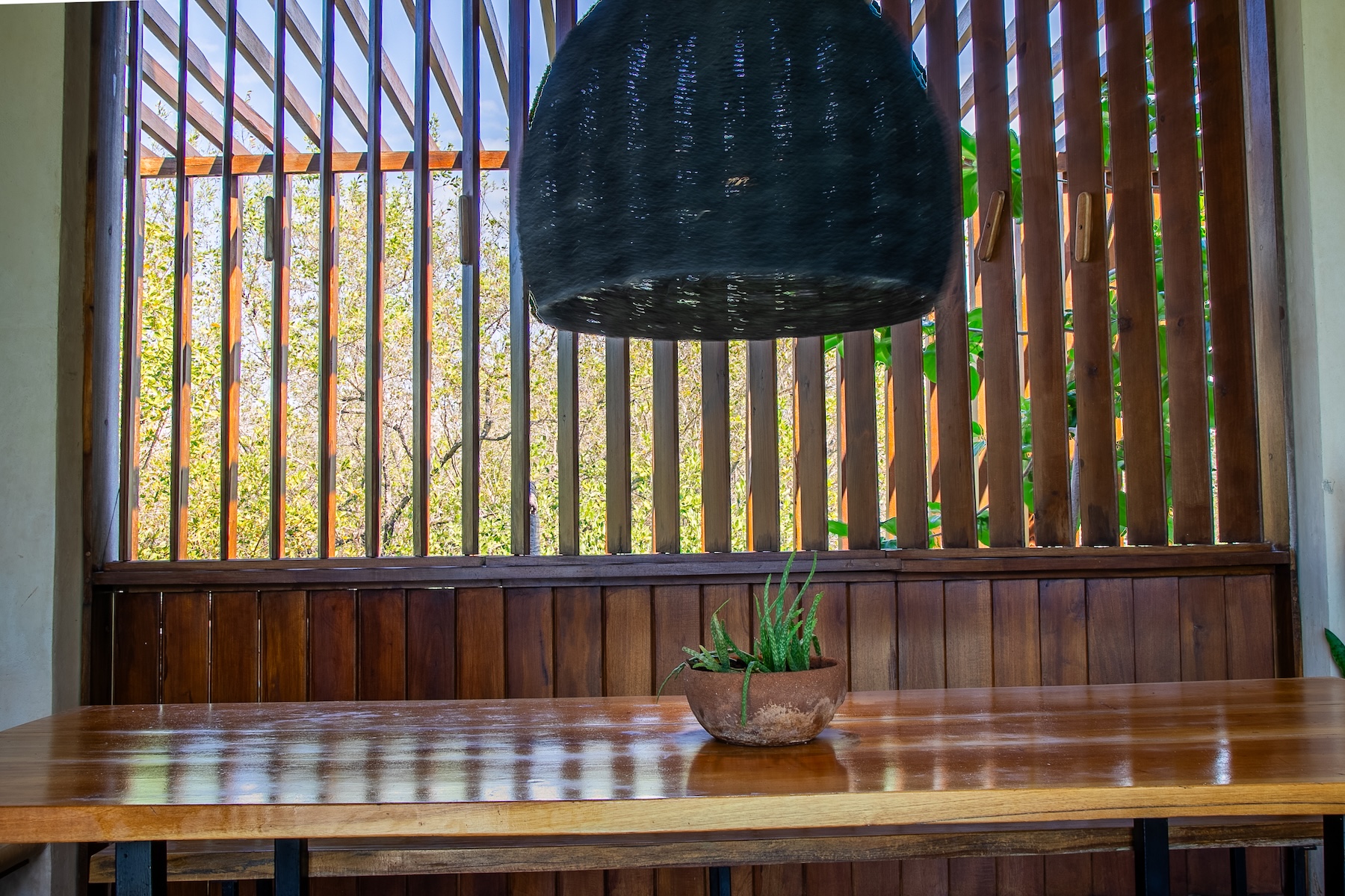  The Twin Canopy Estate  Private Sanctuary in Holbox - 物件實景