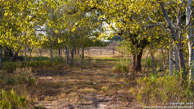 Other, 11111, United States, ,Land,For Sale,1951420