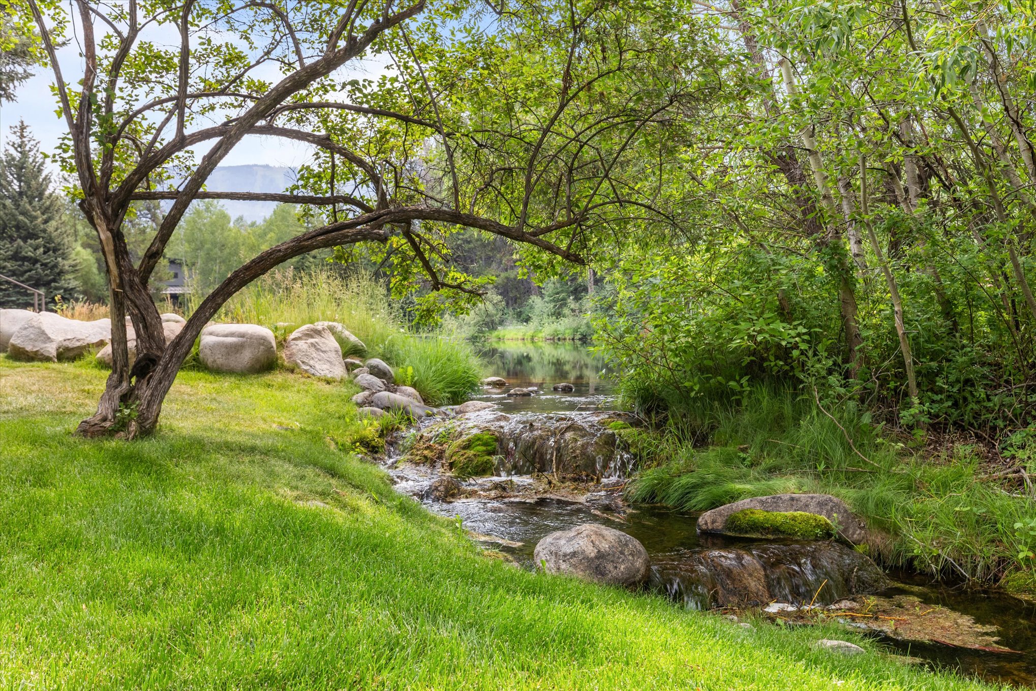  1184 Anglers Drive, Steamboat Springs, CO 80487 - 物件實景