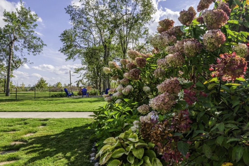 Bemidji, Minnesota, 56601, United States, 6 Bedrooms Bedrooms, ,2 BathroomsBathrooms,Residential,For Sale,2000102