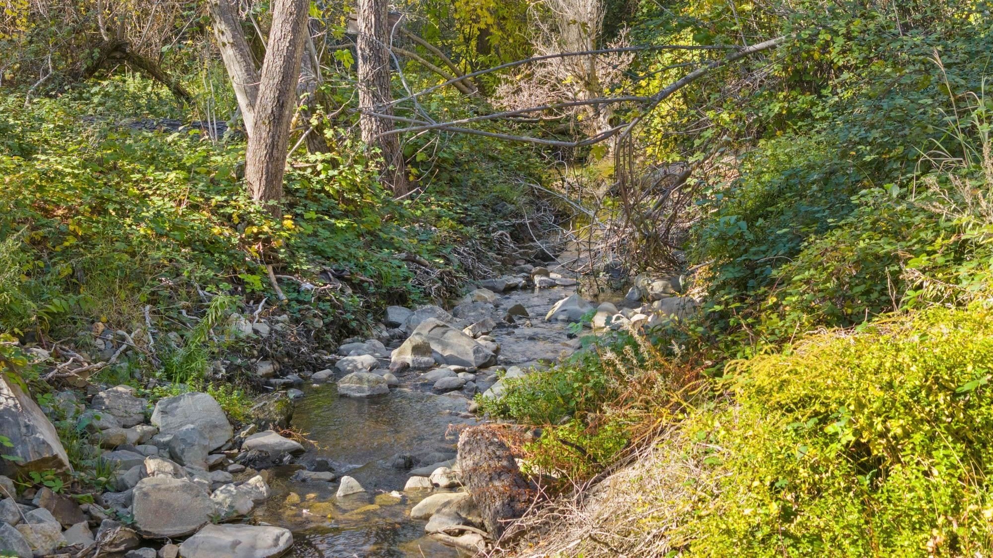 Sonora, California, 95370, United States, ,Residential,For Sale,2010802