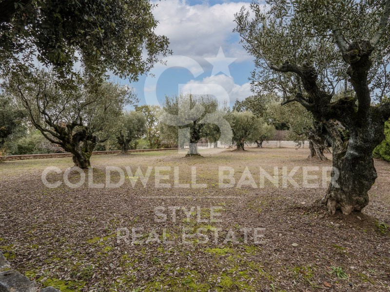 Carretera de Castellar Barcelona, Matadepera, Mata, Matadepera, Catalonia, 08227, ES, 7 Bedrooms Bedrooms, ,3 BathroomsBathrooms,Residential,For Sale,Carretera de Castellar Barcelona, Matadepera, Mata,1448691