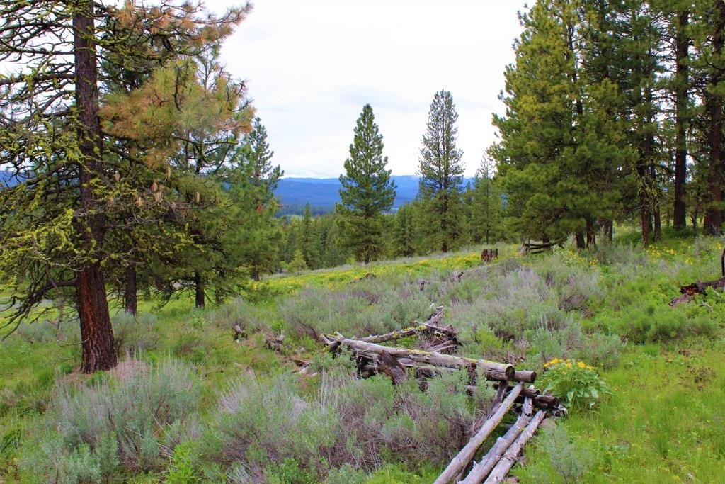 New Meadows, Idaho, 83654, United States, 2 Bedrooms Bedrooms, ,2 BathroomsBathrooms,Residential,For Sale,1982701