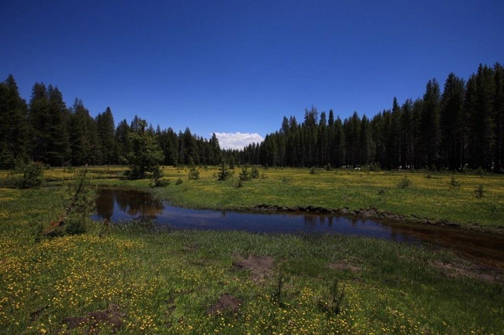 Bass Lake, California, 93604, United States, 1 Bedroom Bedrooms, ,1 BathroomBathrooms,Residential,For Sale,1983567