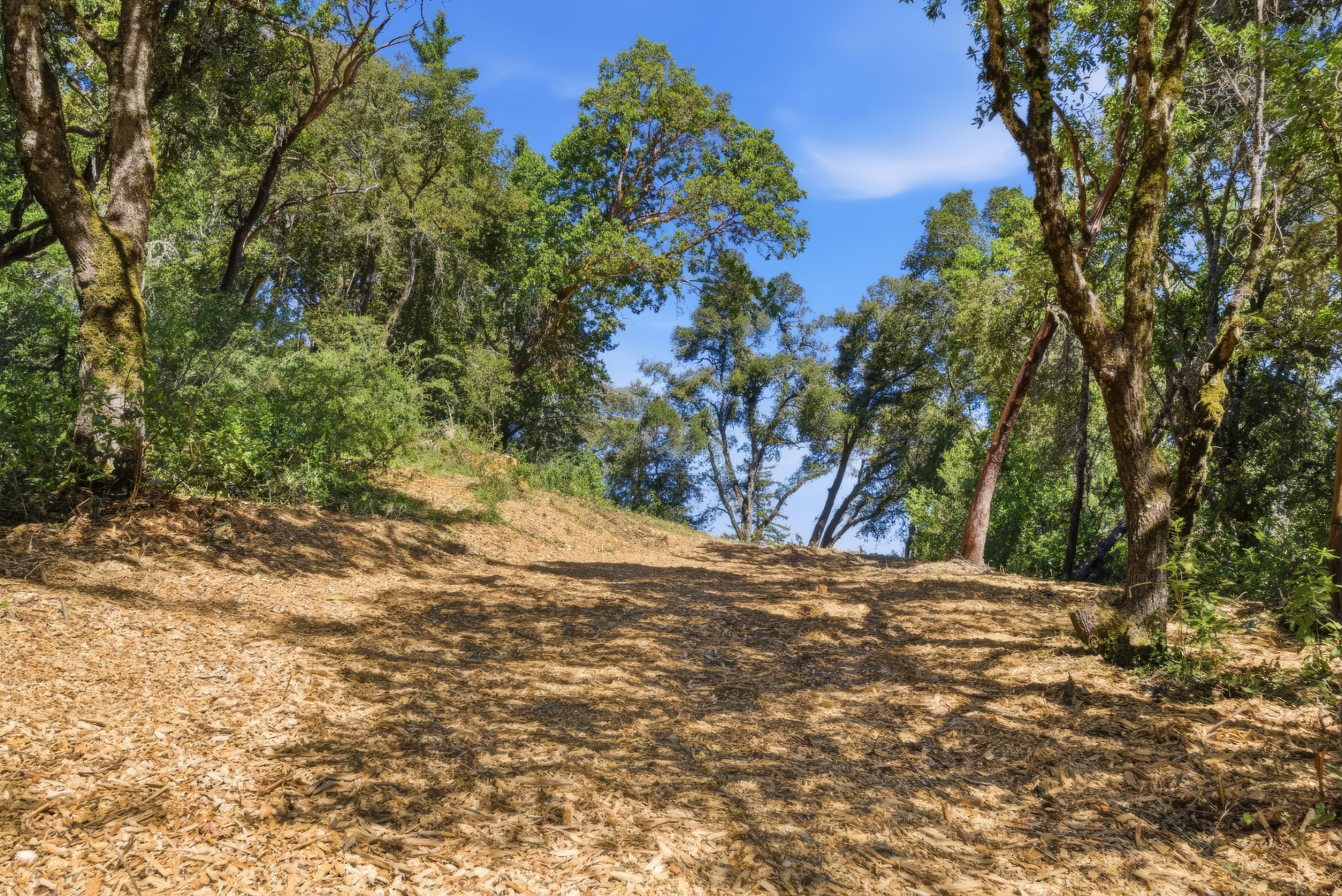  Exceptional Five-Acre Estate Opportunity with Bay Area Views - 物件實景