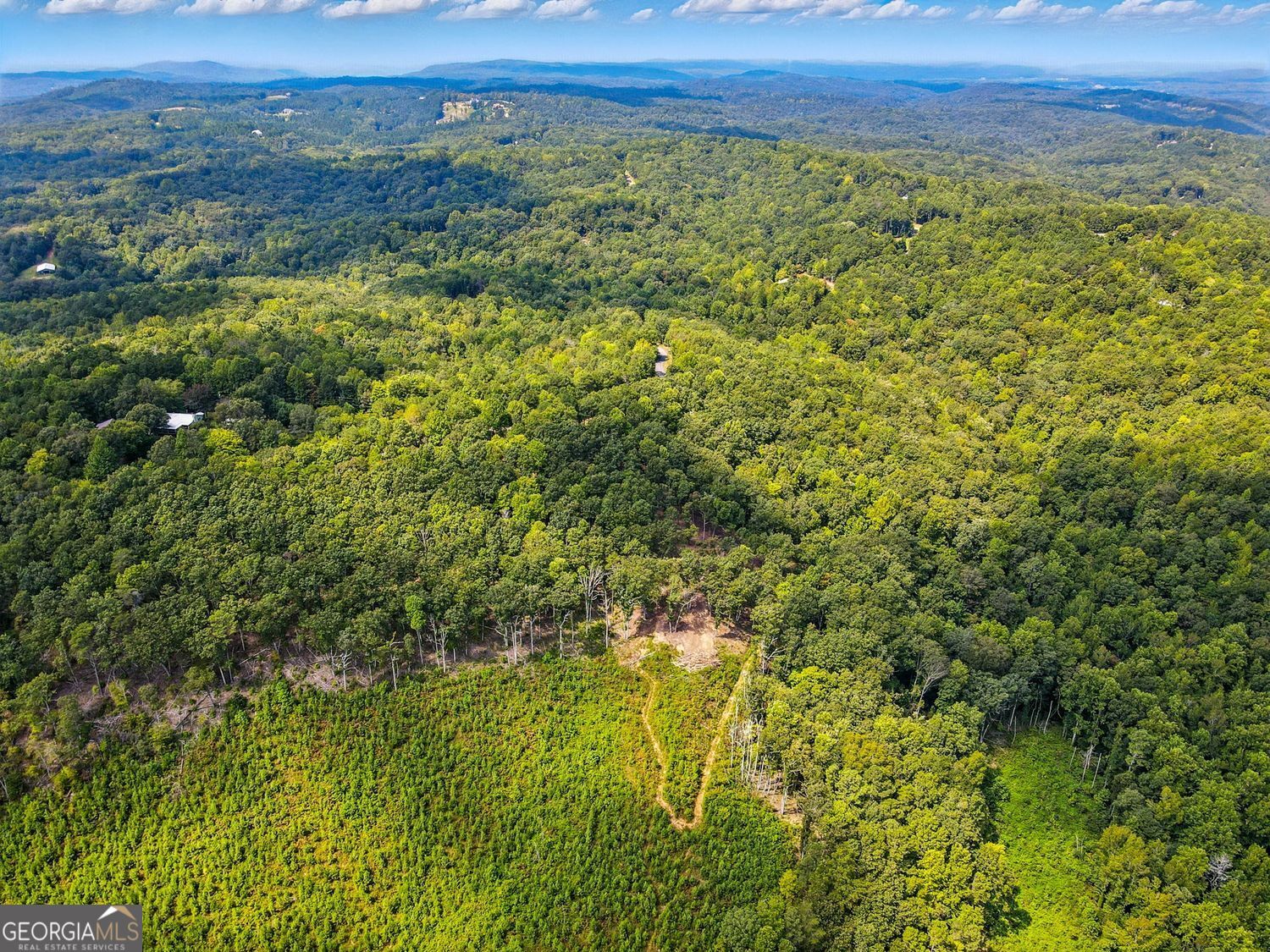 Waleska, Georgia, 30183, United States, ,Land,For Sale,1929808