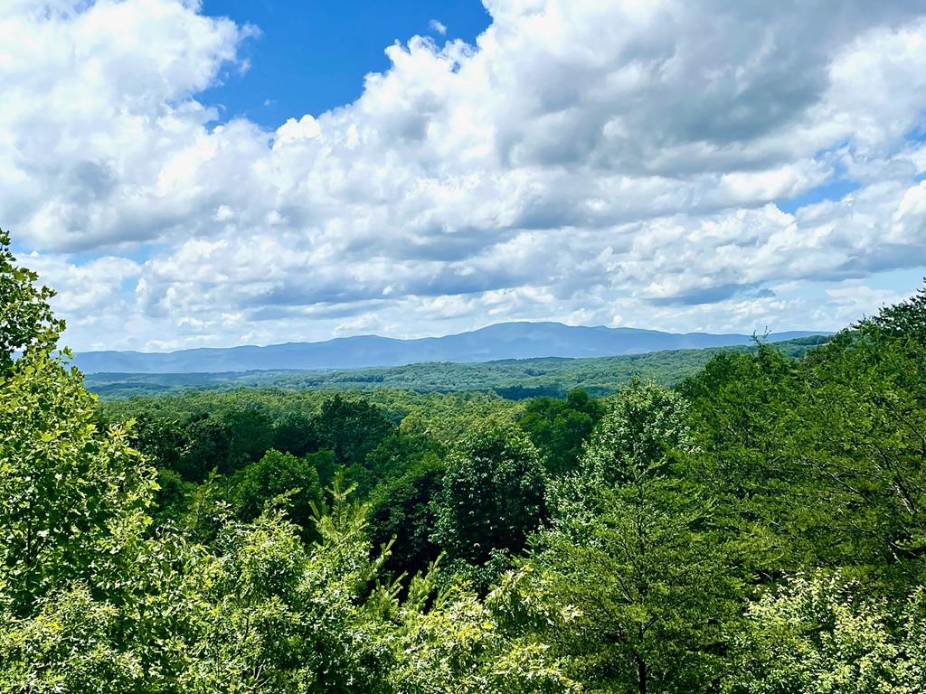 Mineral Bluff, Georgia, 30559, United States, 3 Bedrooms Bedrooms, ,3 BathroomsBathrooms,Residential,For Sale,1986292