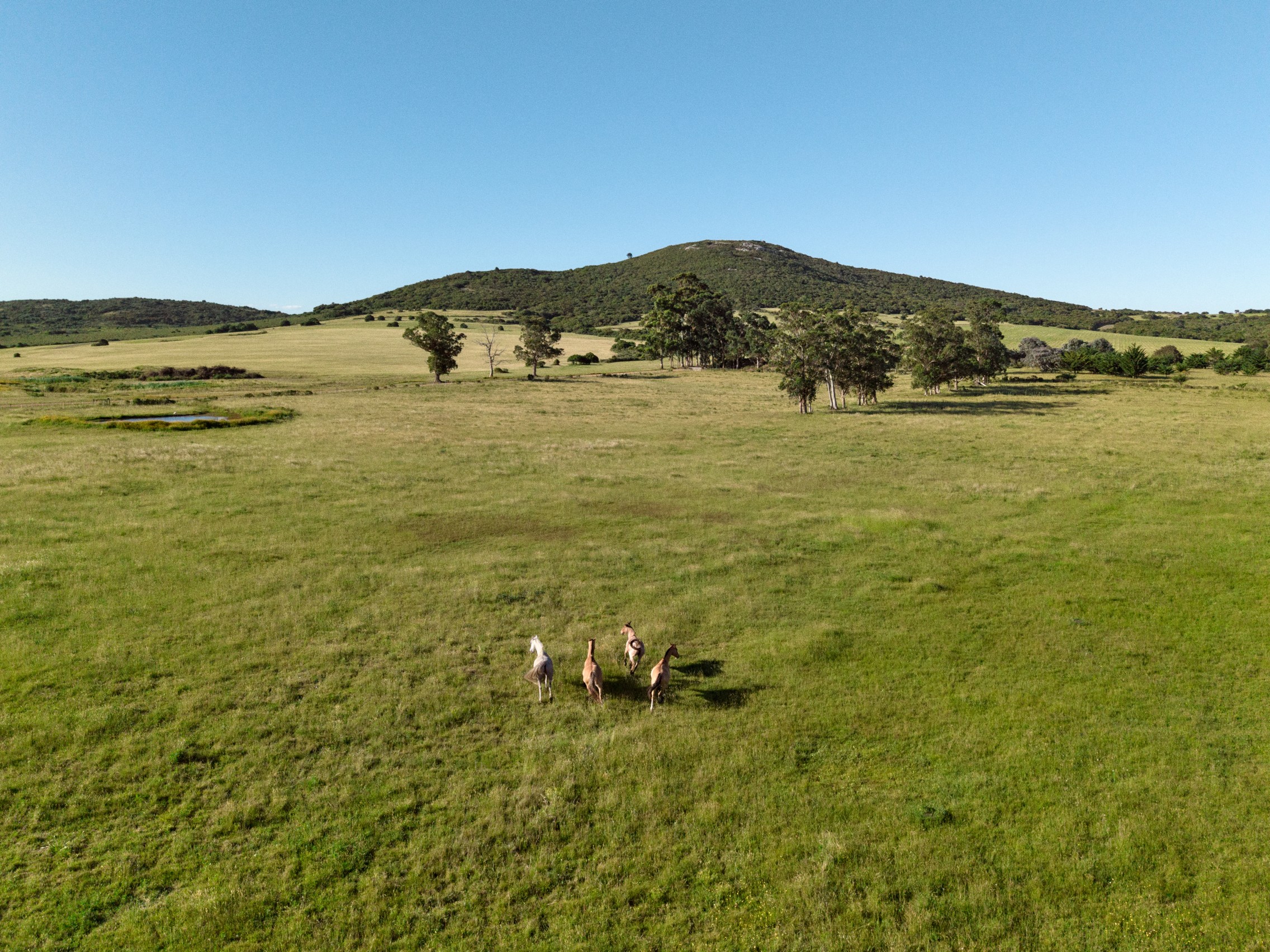  Agreste Punta Negra  Exclusive Country & Sea Club Lots with Ocean Views - 物件實景