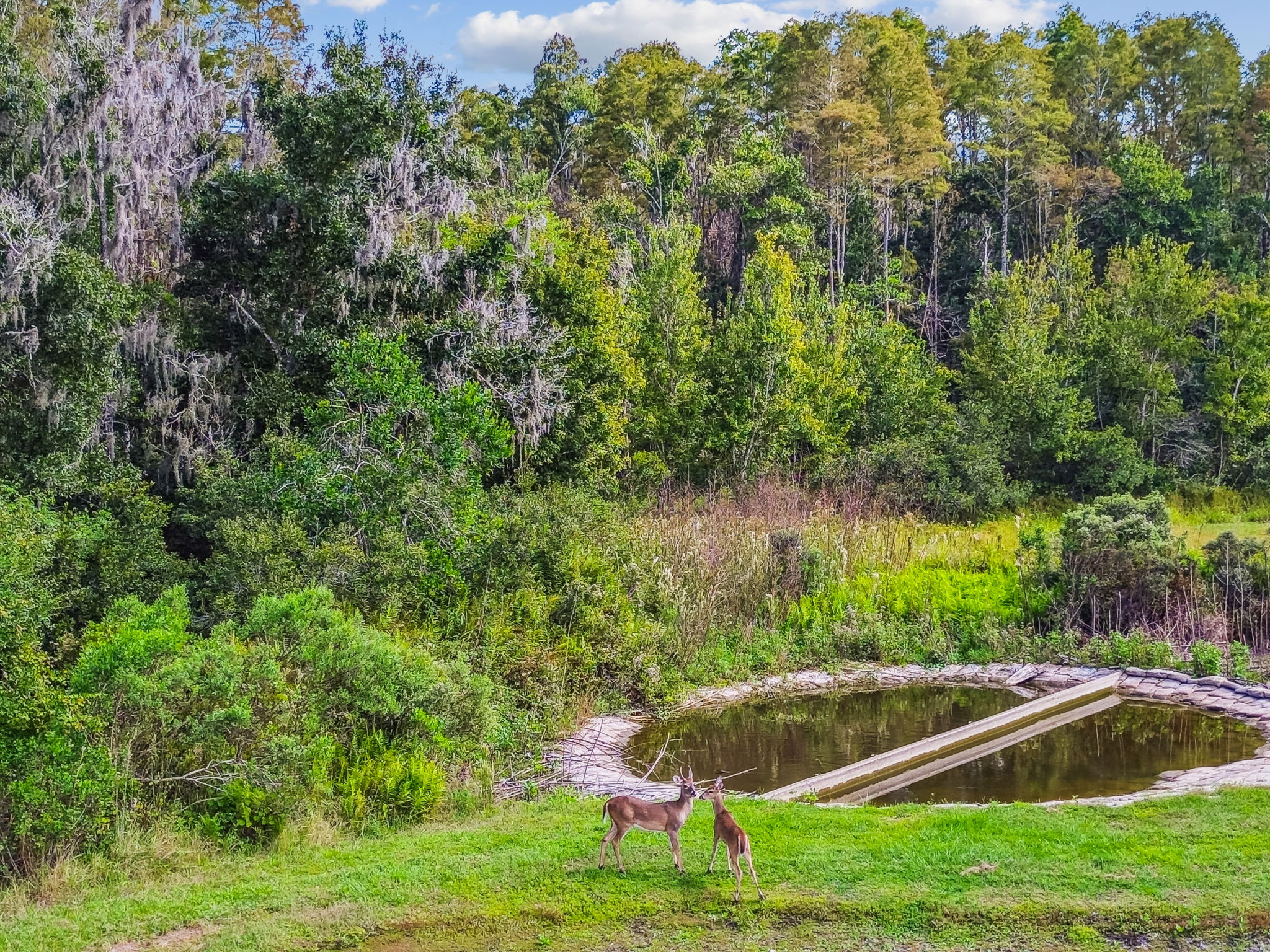 New Port Richey, Florida, 34655, United States, 6 Bedrooms Bedrooms, ,4 BathroomsBathrooms,Residential,For Sale,1980137