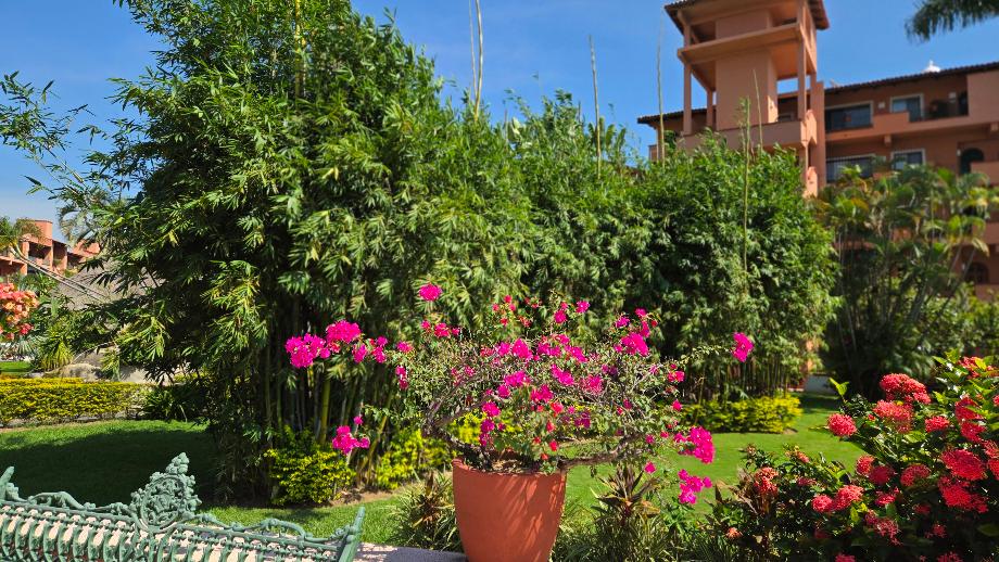 Puerto Vallarta, Jalisco, 48354, Mexico, 2 Bedrooms Bedrooms, ,2 BathroomsBathrooms,Residential,For Sale,1991227