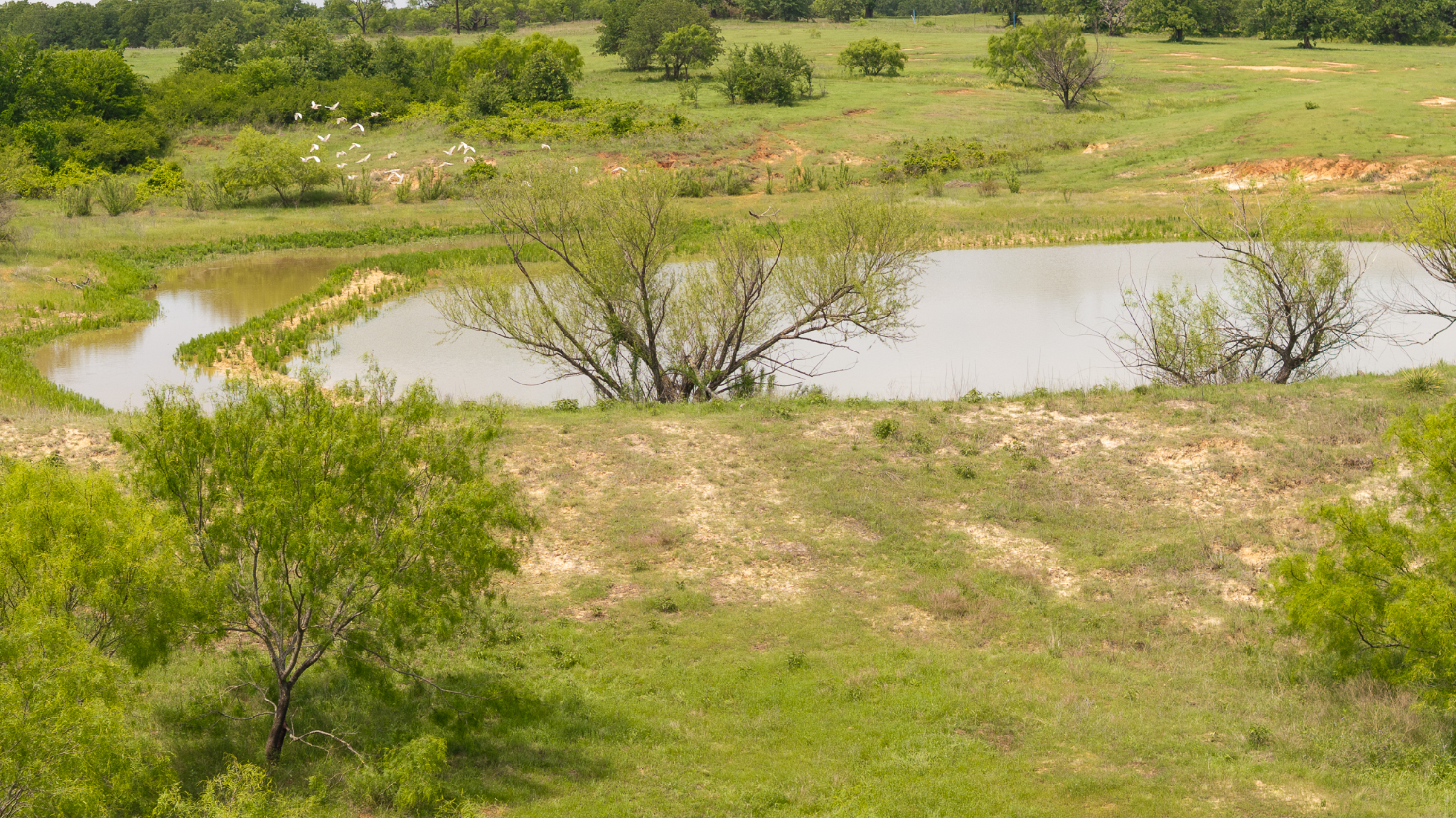  Rolling Oaks Ranch - 物件實景