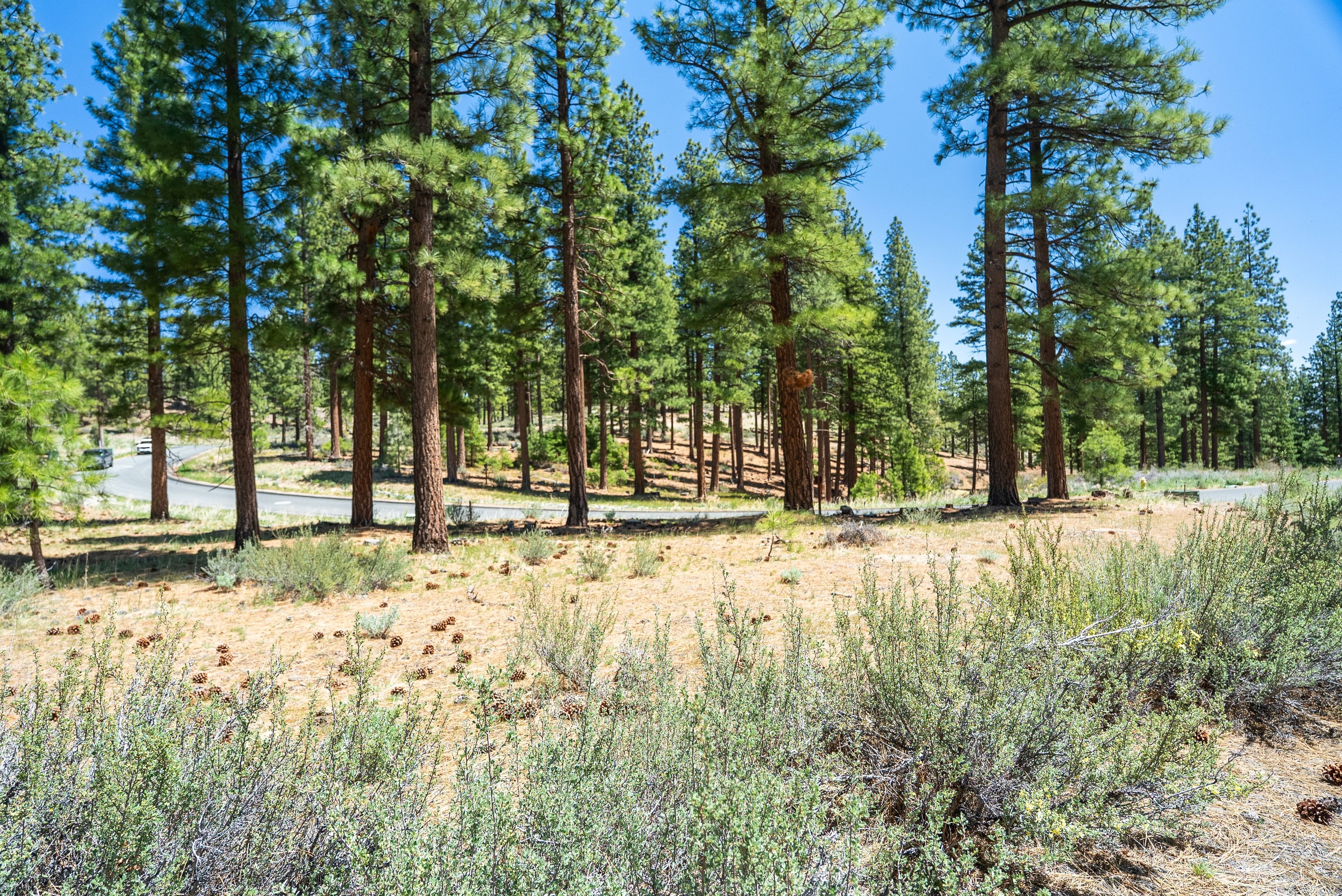  Two Extraordinary Pieces of Land in Clear Creek Tahoe - 物件實景
