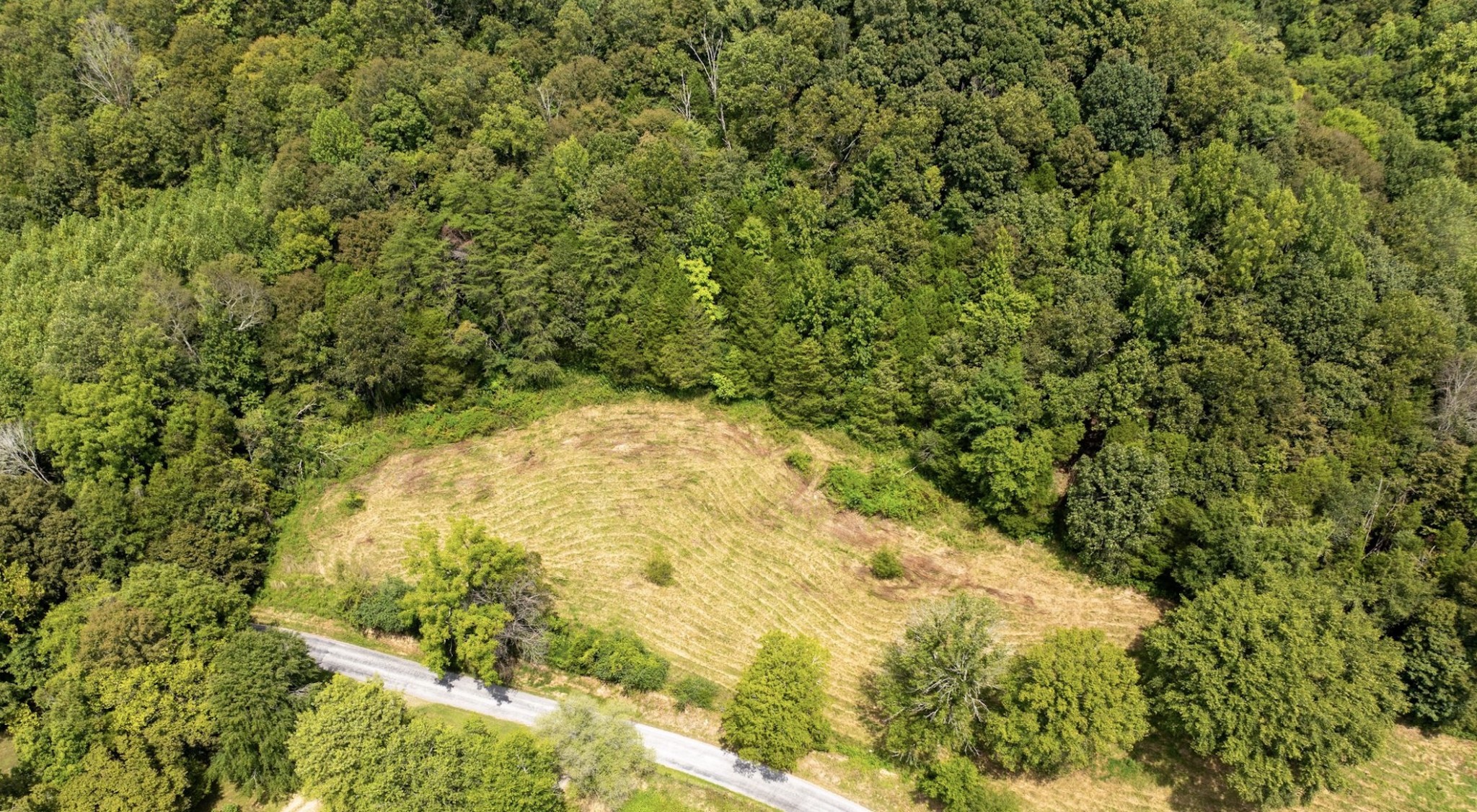 Celina, Tennessee, 38551, United States, ,Land,For Sale,1977132