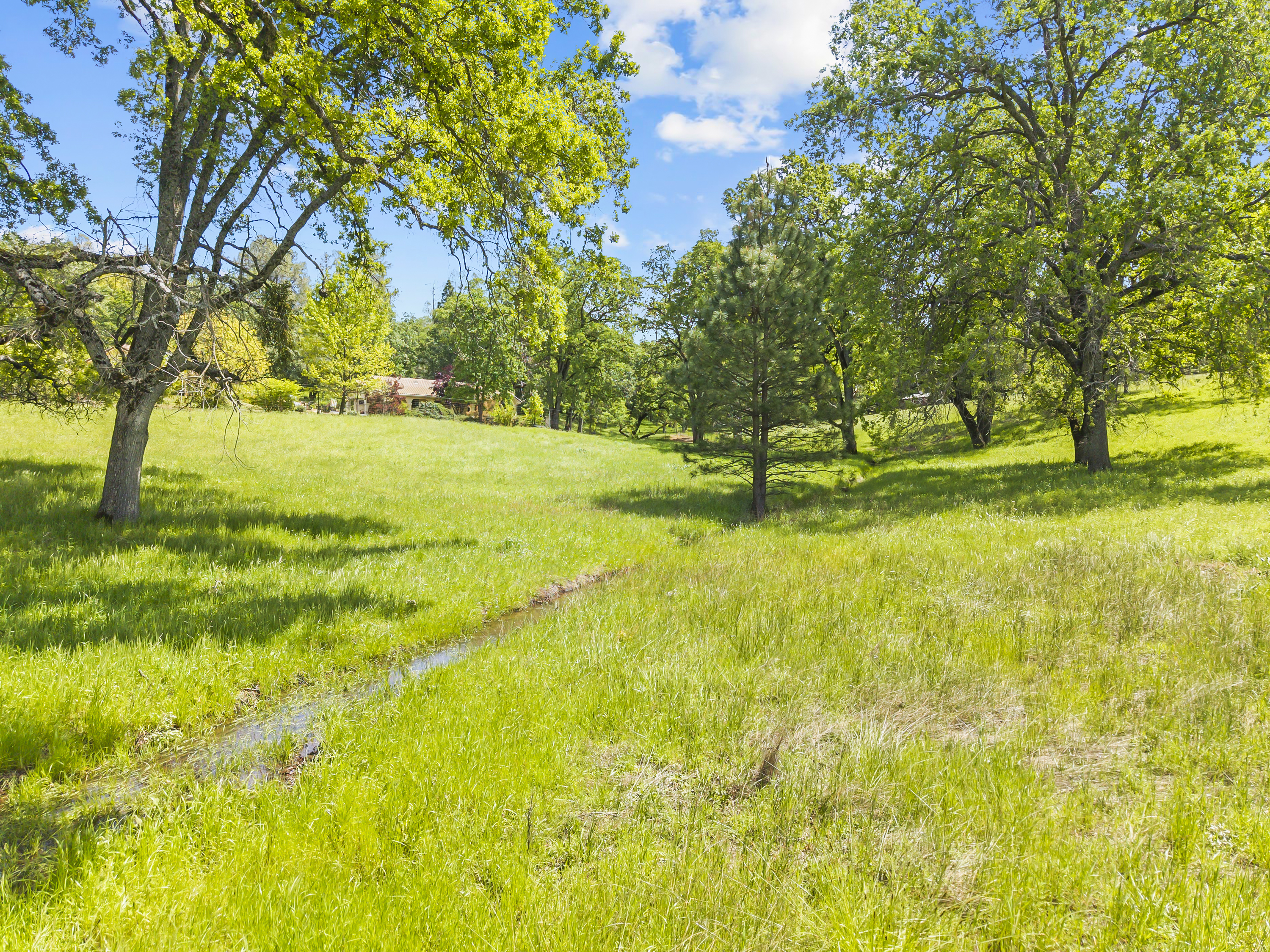  21 Acres - Gated - Renovated - 物件實景