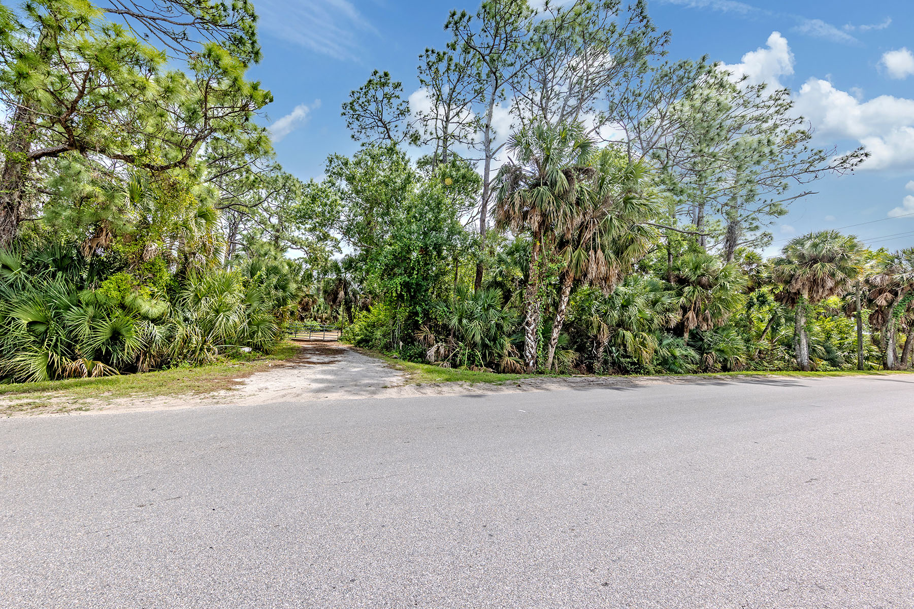  VENICE FARMS - 物件實景