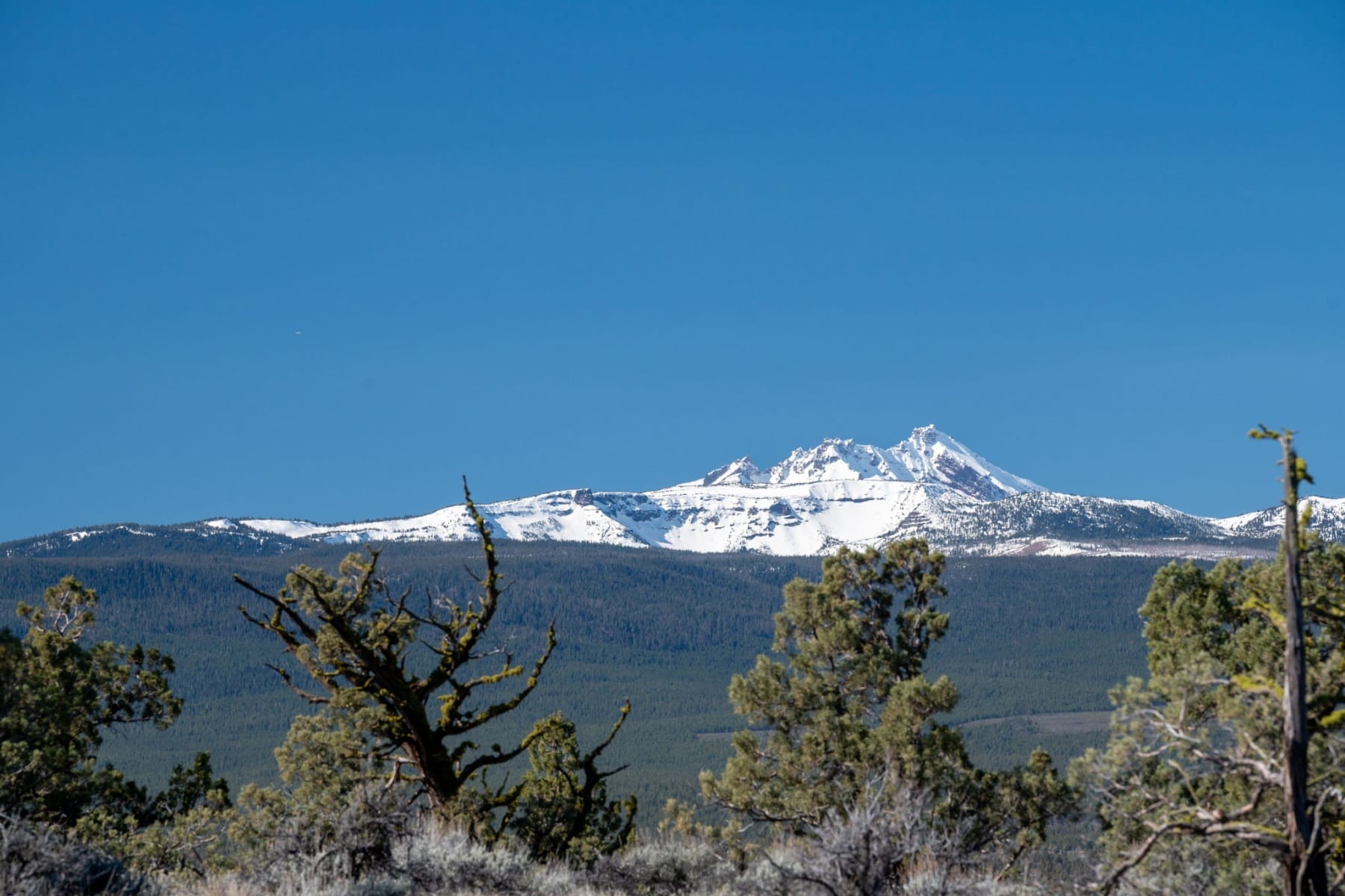  19040 Dusty Loop Bend, OR 97703 - 物件實景