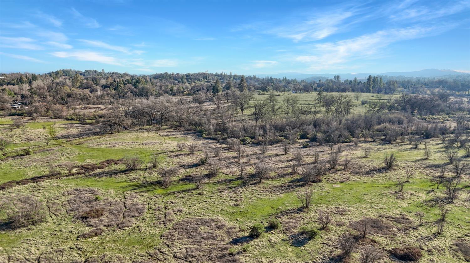 Cool, California, 95614, United States, ,Land,For Sale,1994251