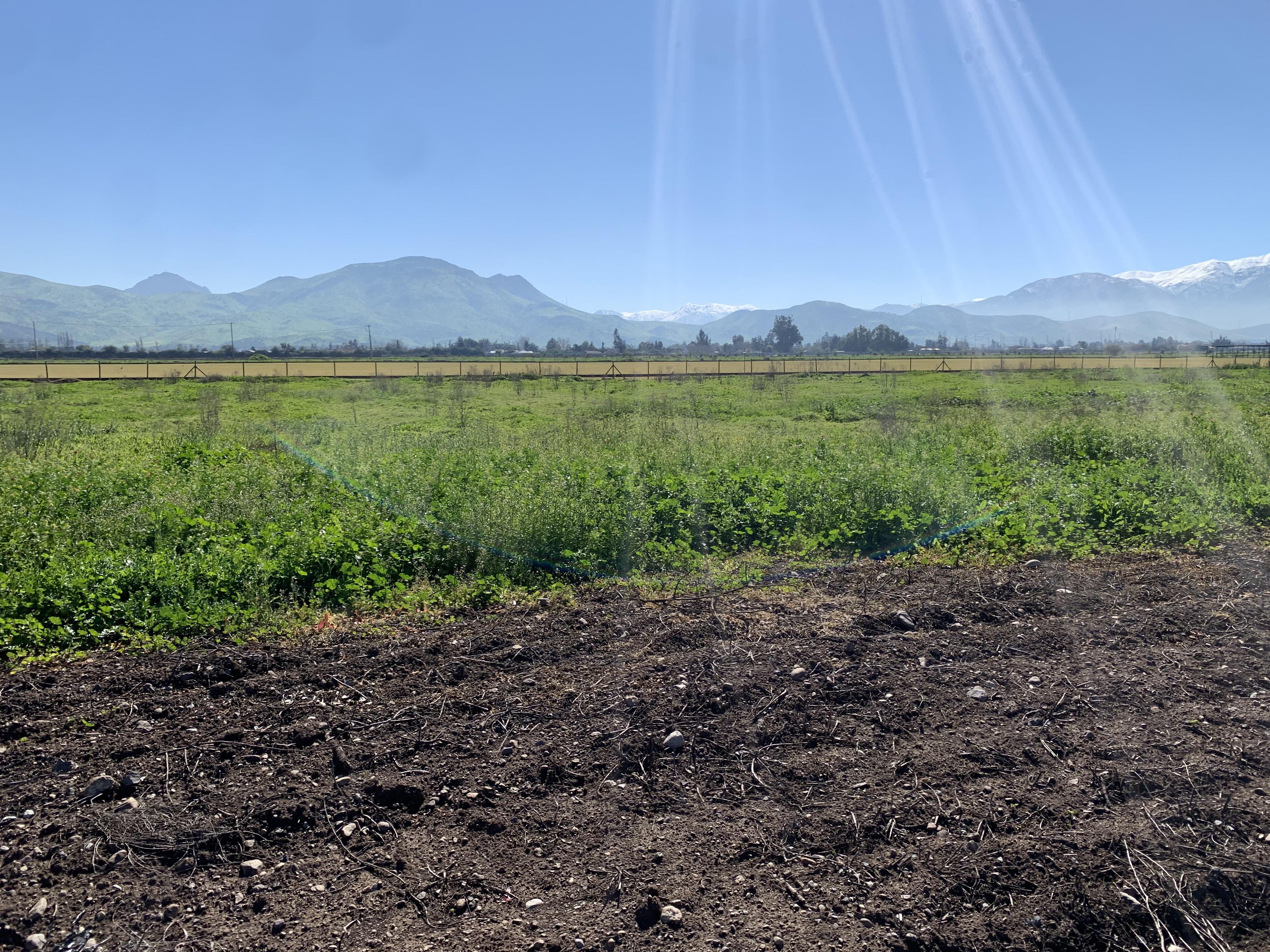 Colina, Chile, ,Land,For Sale,1940115