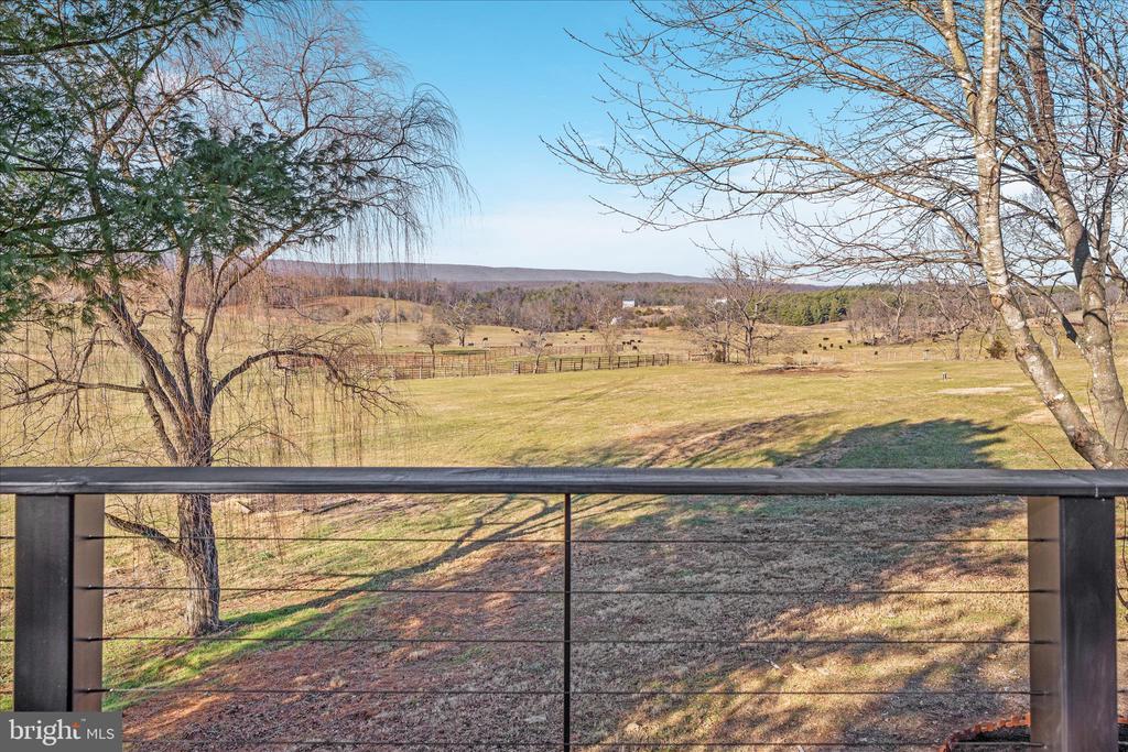 Winchester, Virginia, 22602, United States, 5 Bedrooms Bedrooms, ,5 BathroomsBathrooms,Residential,For Sale,2039774