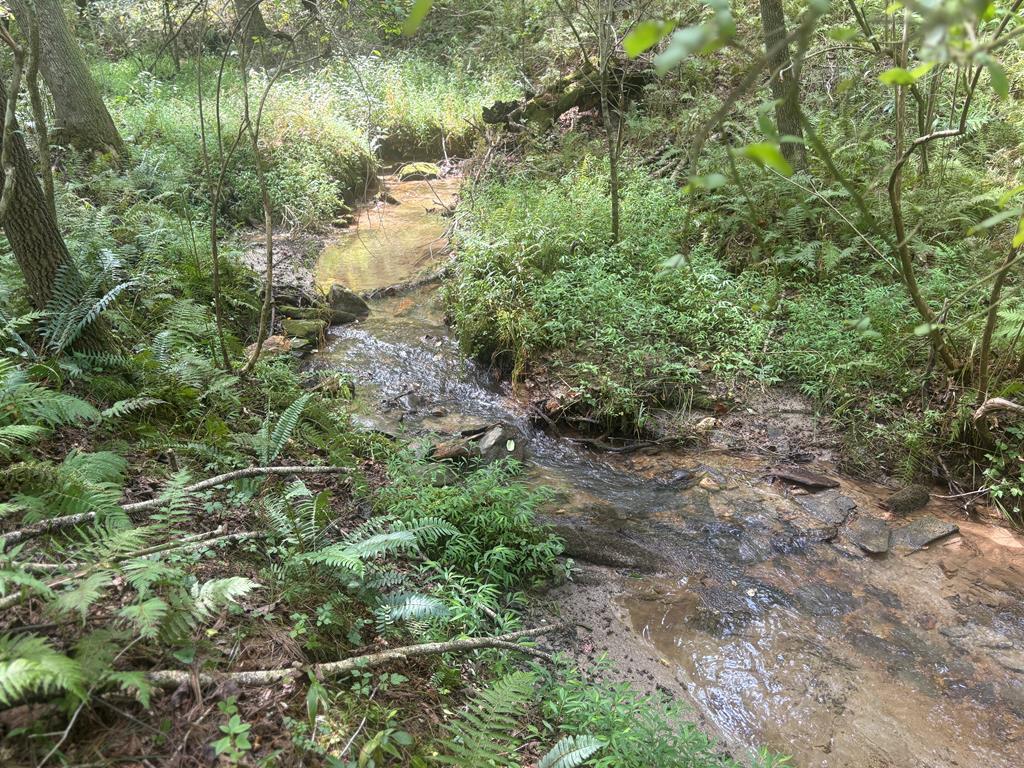 Blue Ridge, Georgia, 30513, United States, 4 Bedrooms Bedrooms, ,3 BathroomsBathrooms,Residential,For Sale,1919081