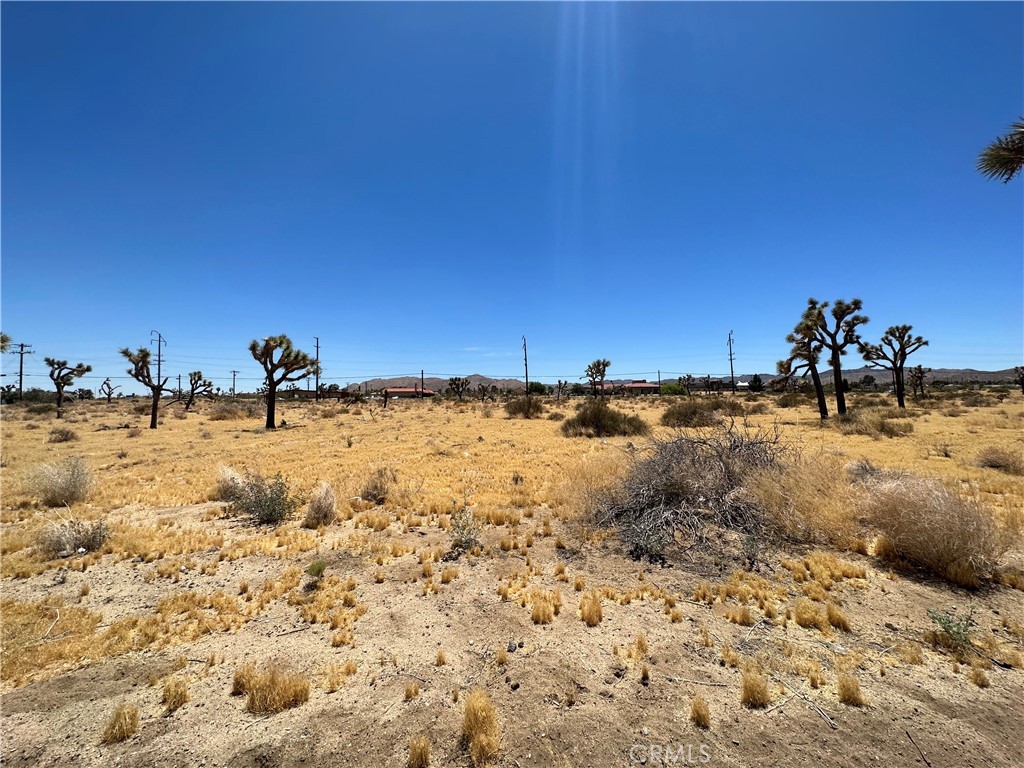 321 Twentynine Palms Highway, Yucca Valley, California, 92284, United States, ,Land,For Sale,321 Twentynine Palms Highway,1435442