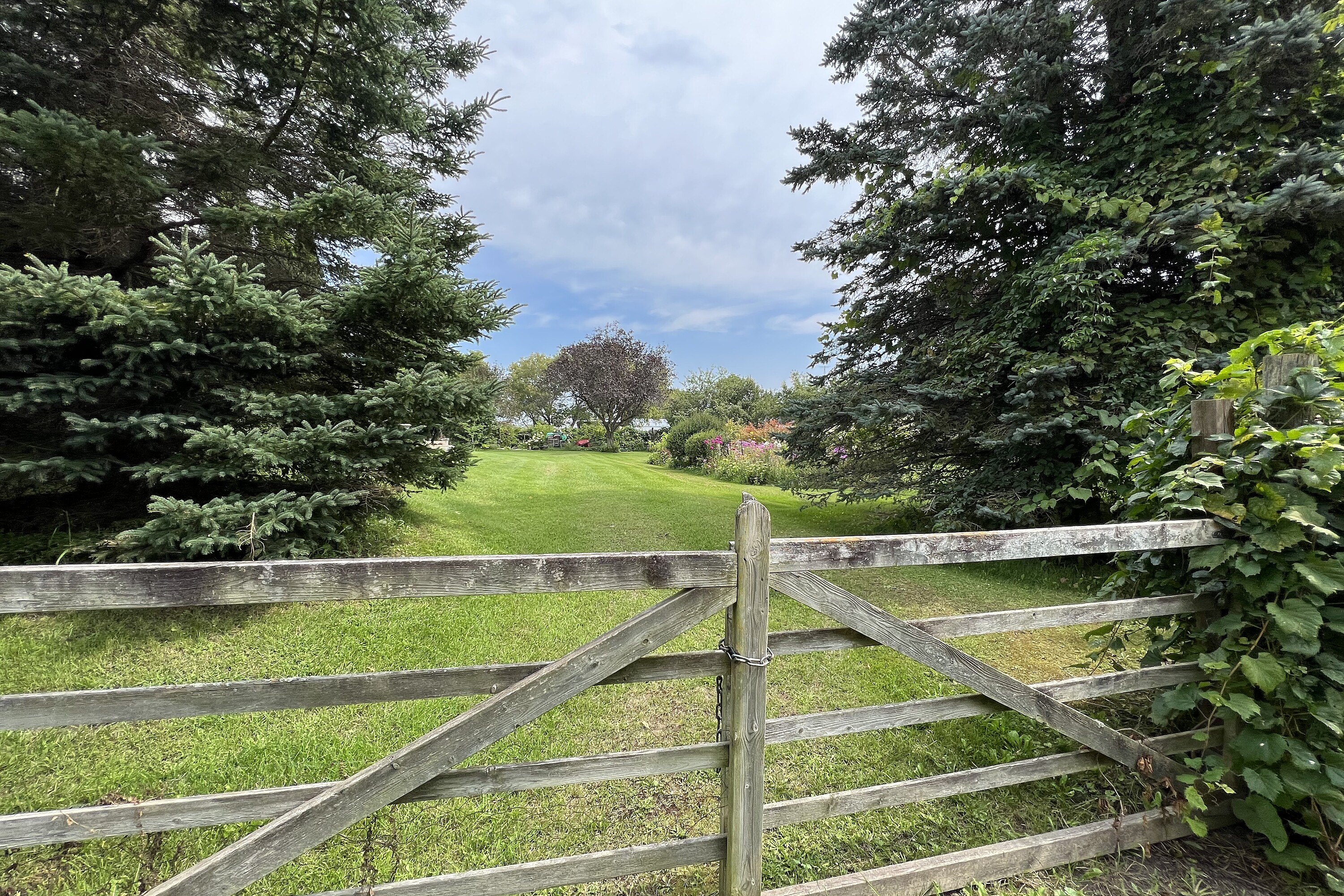  Warkworth Country Retreat - 物件實景