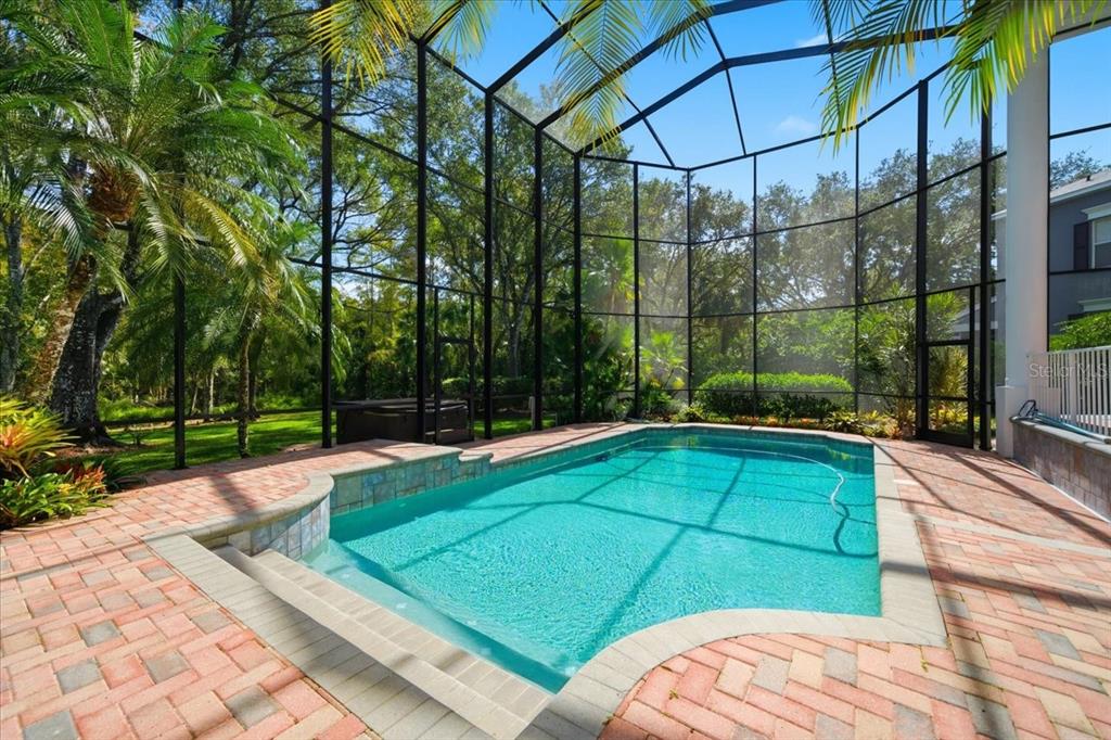 Tampa, Florida, 33647, United States, 4 Bedrooms Bedrooms, ,6 BathroomsBathrooms,Residential,For Sale,1989549